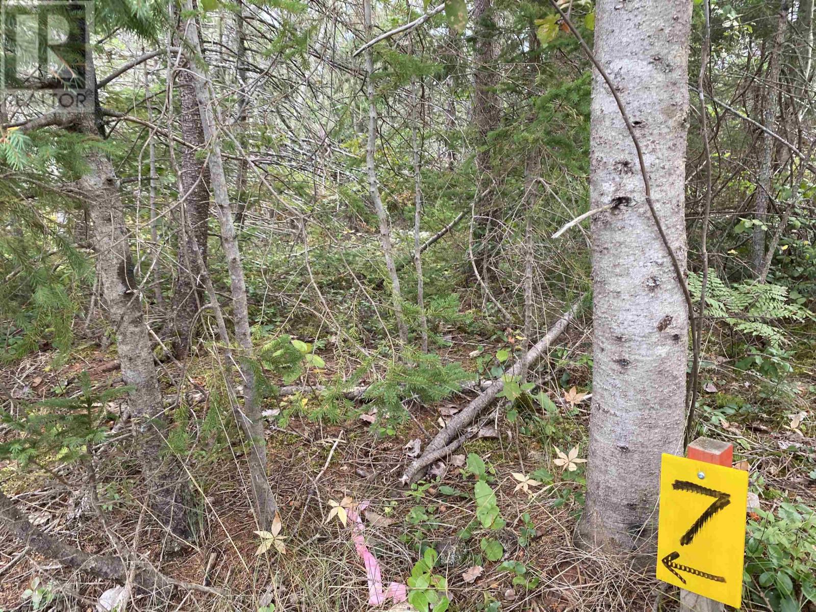 Property at Lot 7 Floating Bridge Road image 1