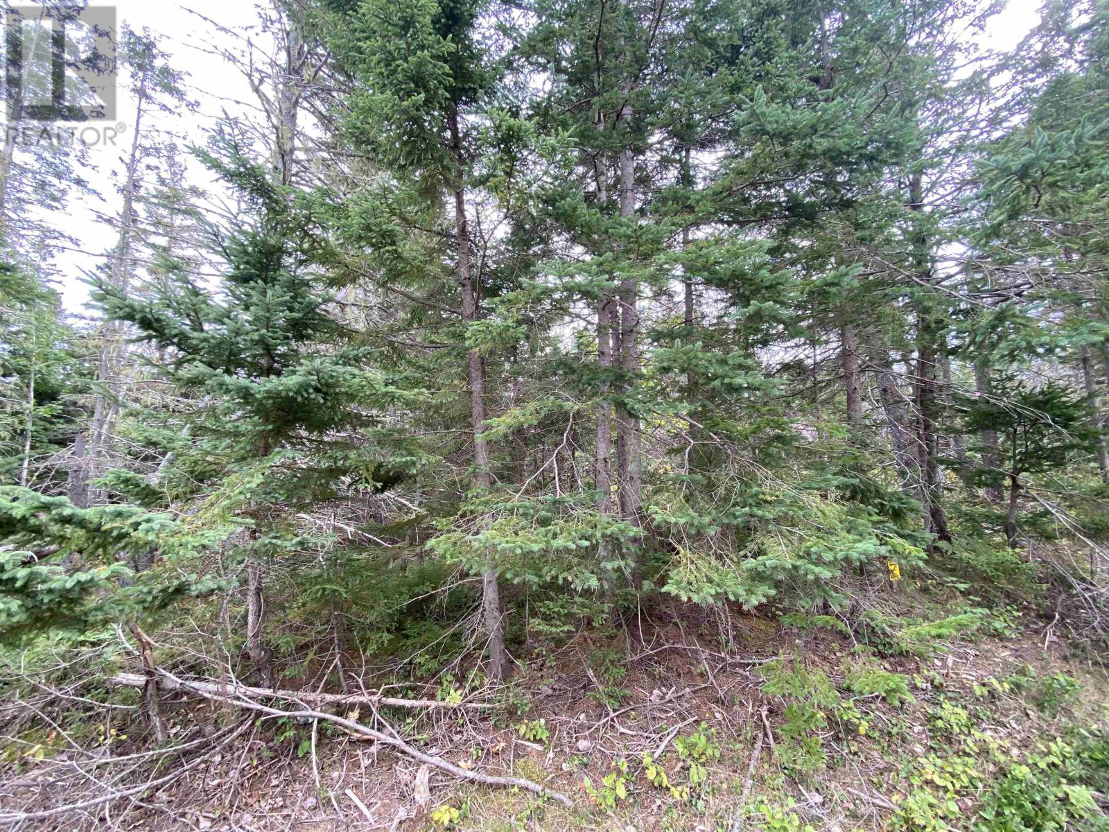 Property at Lot 7 Floating Bridge Road image 5
