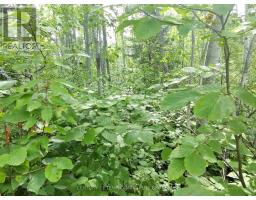 PART 6 GIRL GUIDE ROAD, Timiskaming, Ontario