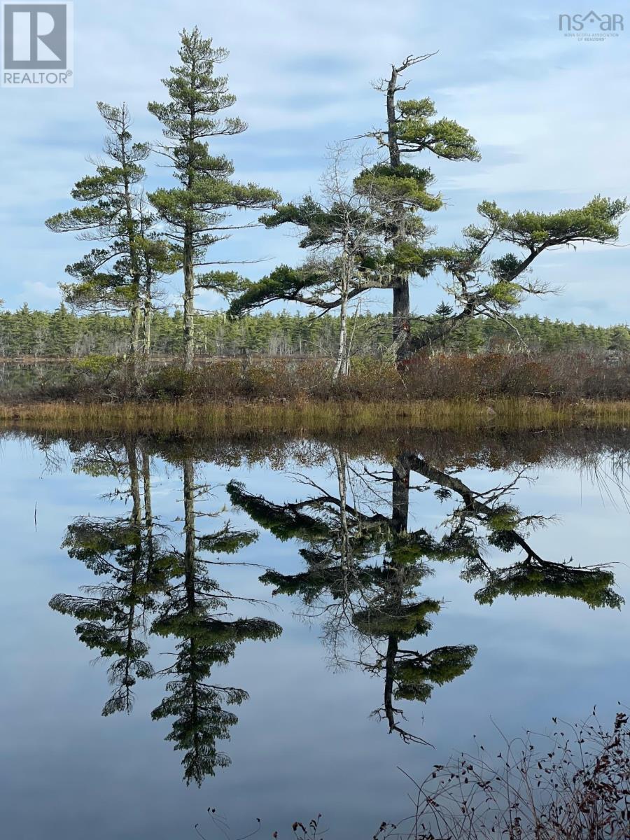 Lots 5 & 6 New Elm Road, New Elm, Nova Scotia  B4V 2W5 - Photo 3 - 202504093