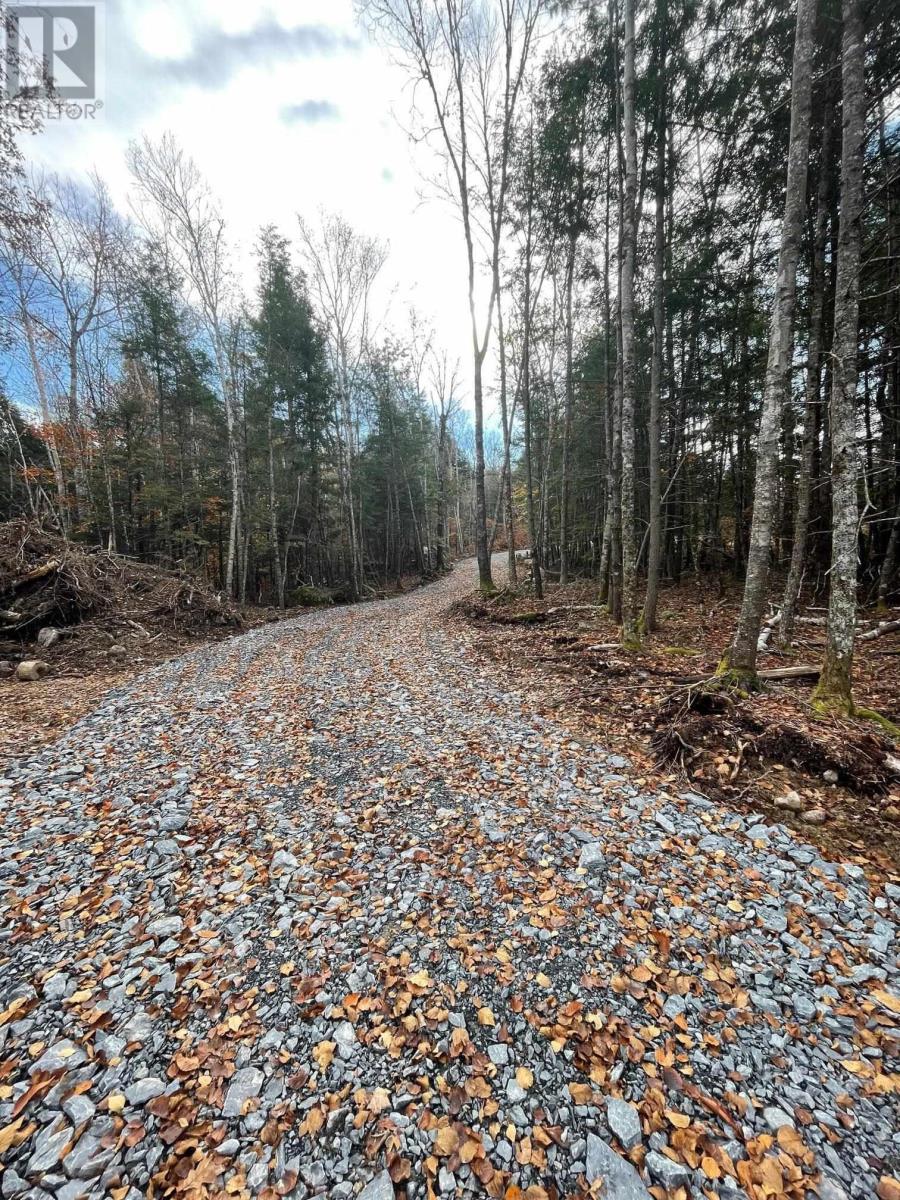 Lots 5 & 6 New Elm Road, New Elm, Nova Scotia  B4V 2W5 - Photo 4 - 202504093