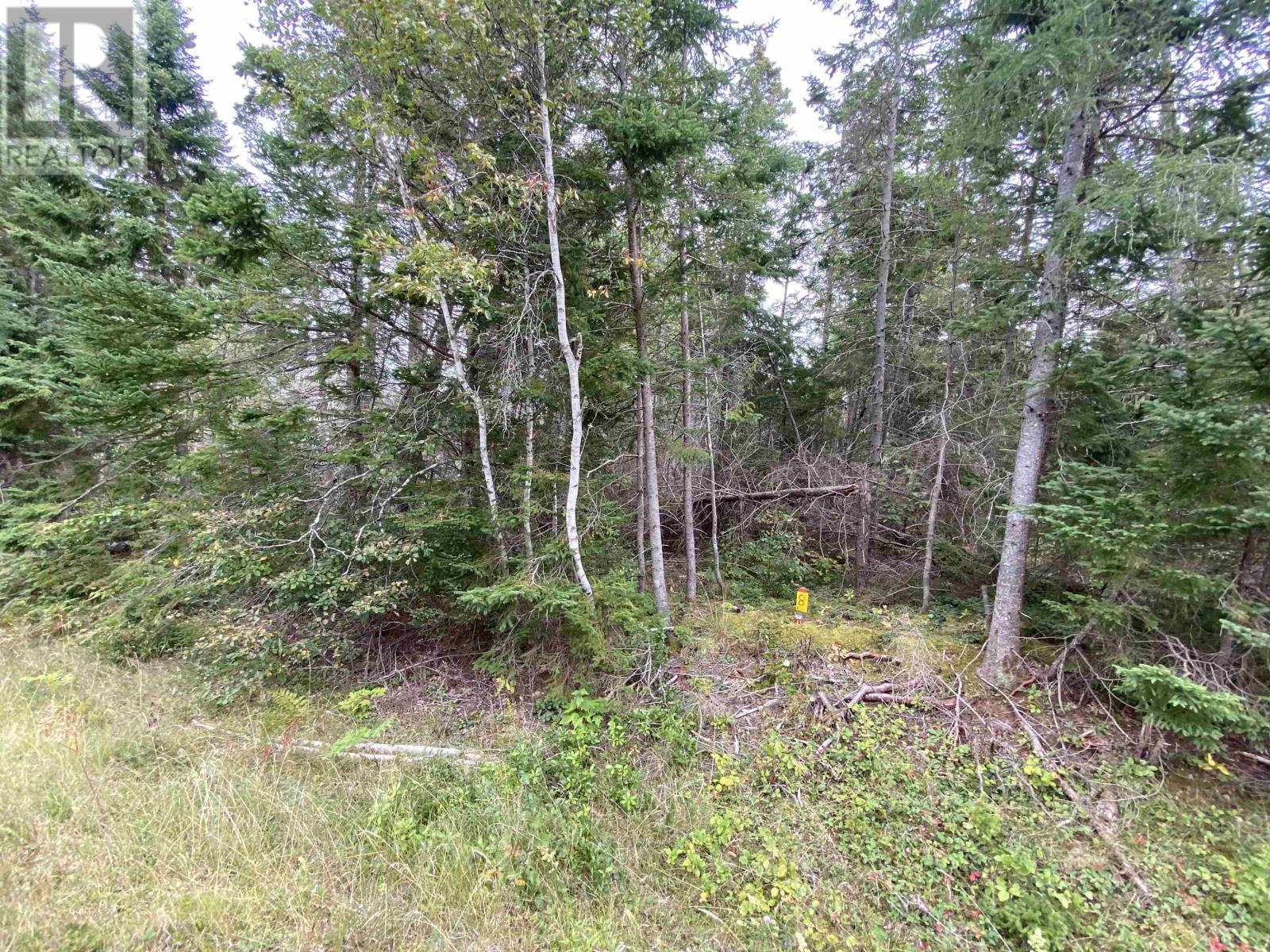 Property at Lot 8 Floating Bridge Road image 3