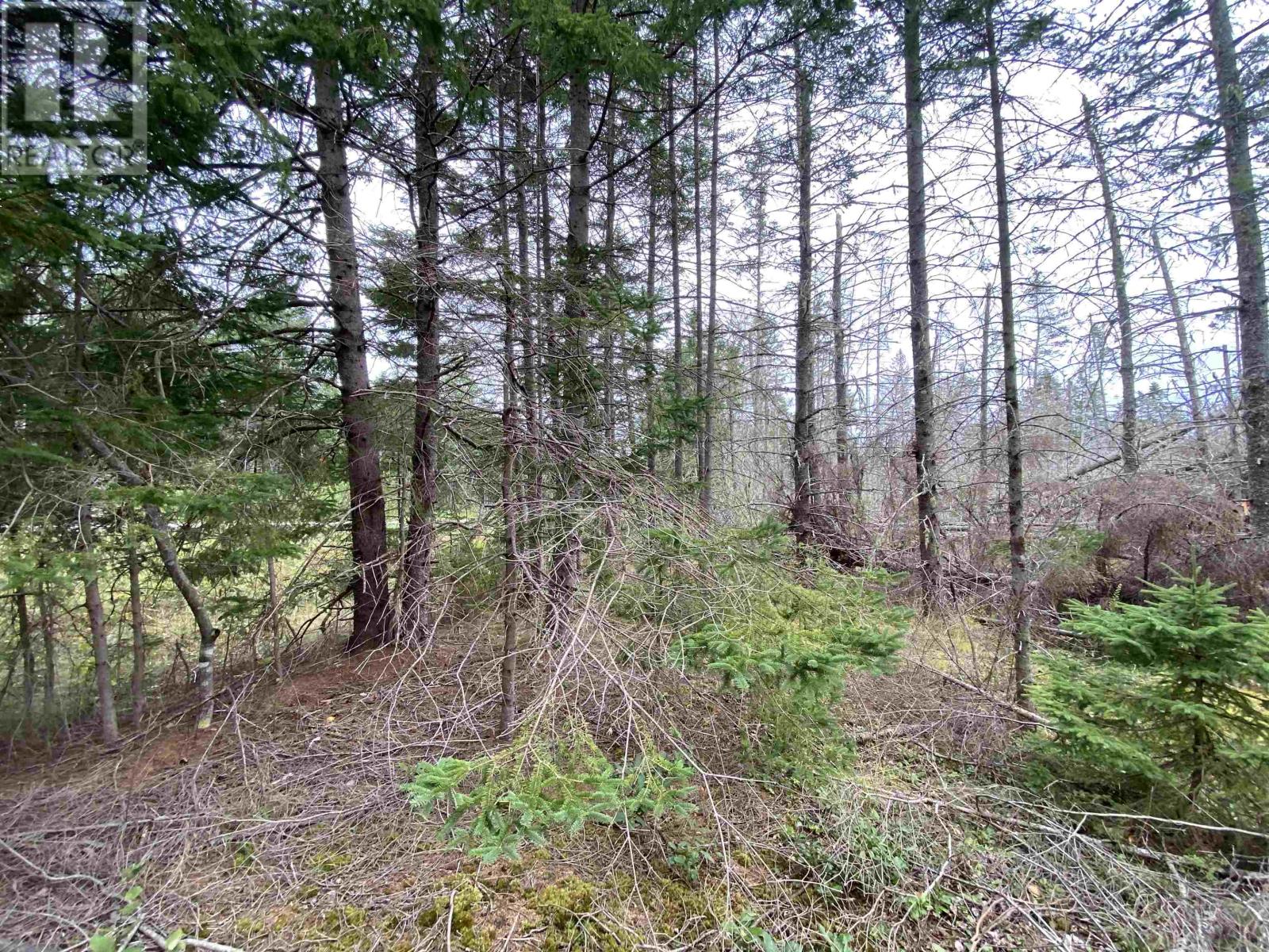 Property at Lot 9 Floating Bridge Road image 3