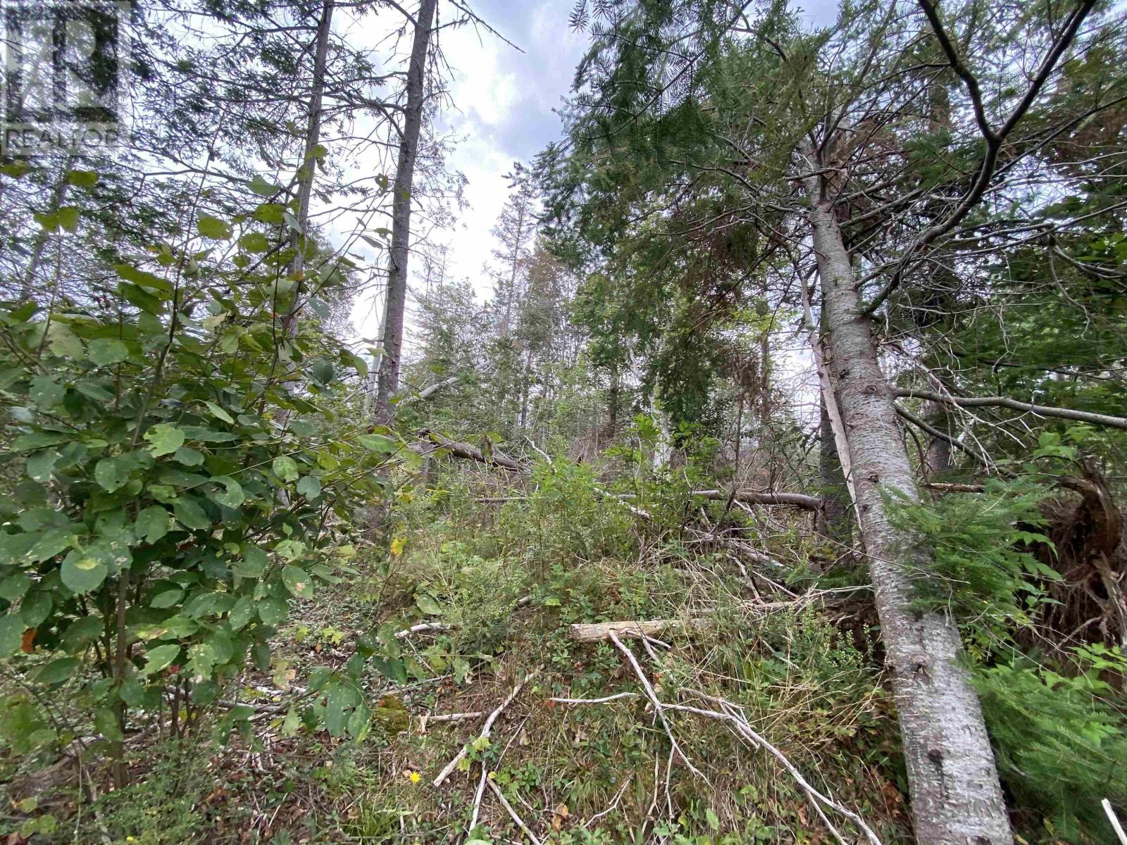 Property at Lot 9 Floating Bridge Road image 4