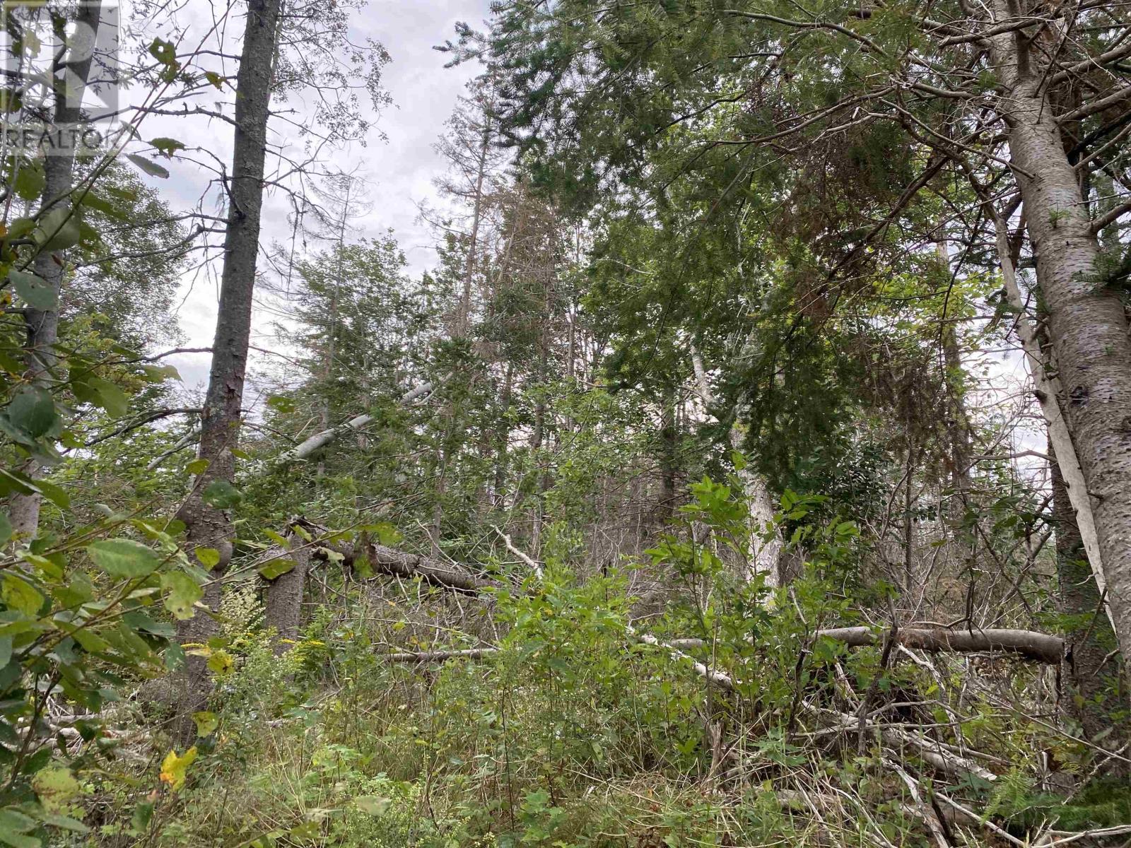 Lot 11 Floating Bridge Road, Murray River, Prince Edward Island  C0A 1W0 - Photo 6 - 202504144