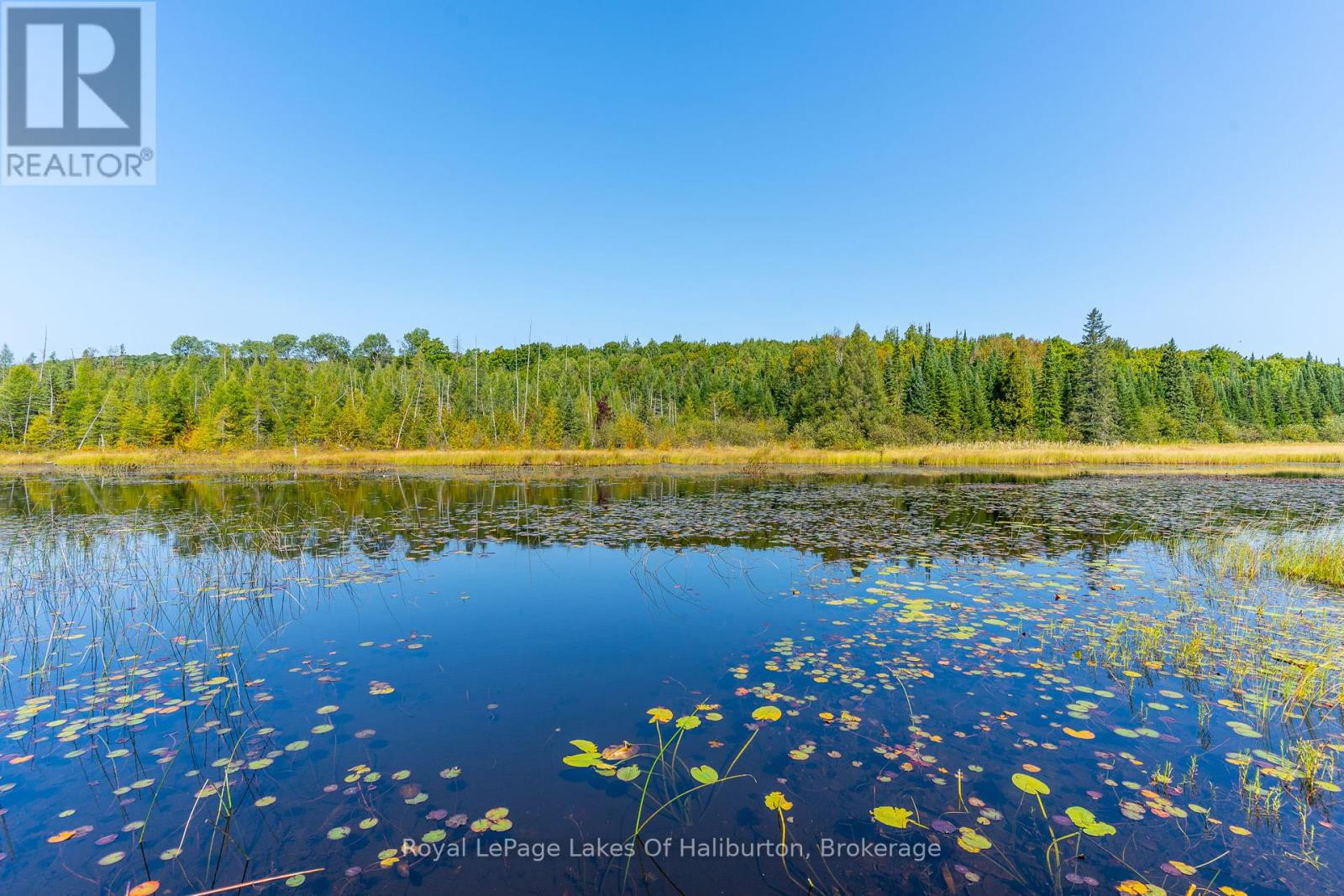 2825 Ib&o Rail Trail, Highlands East, Ontario  K0L 2Y0 - Photo 42 - X12001234