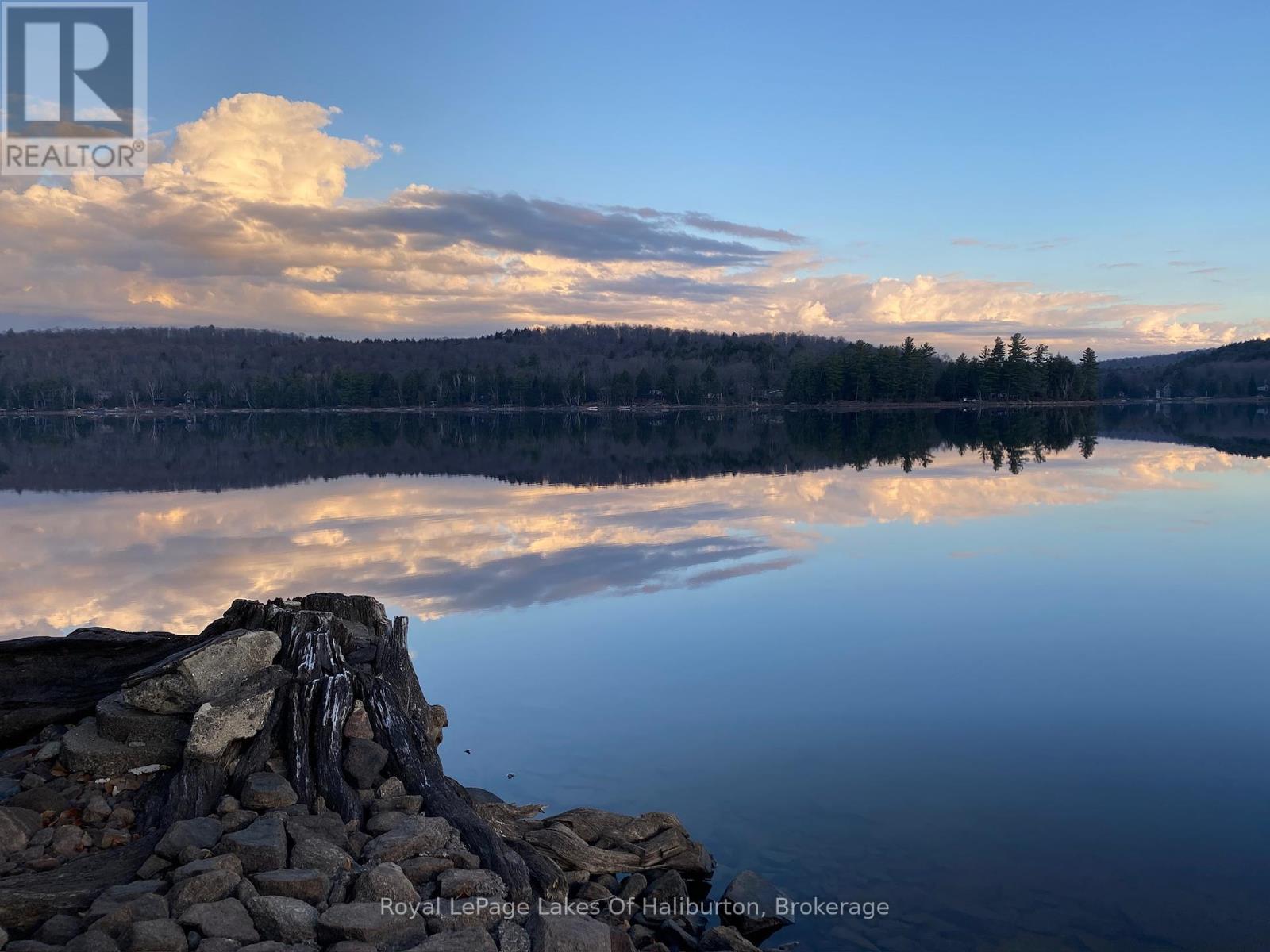 1017 Palace Drive, Dysart Et Al, Ontario  K0M 1S0 - Photo 34 - X12001433