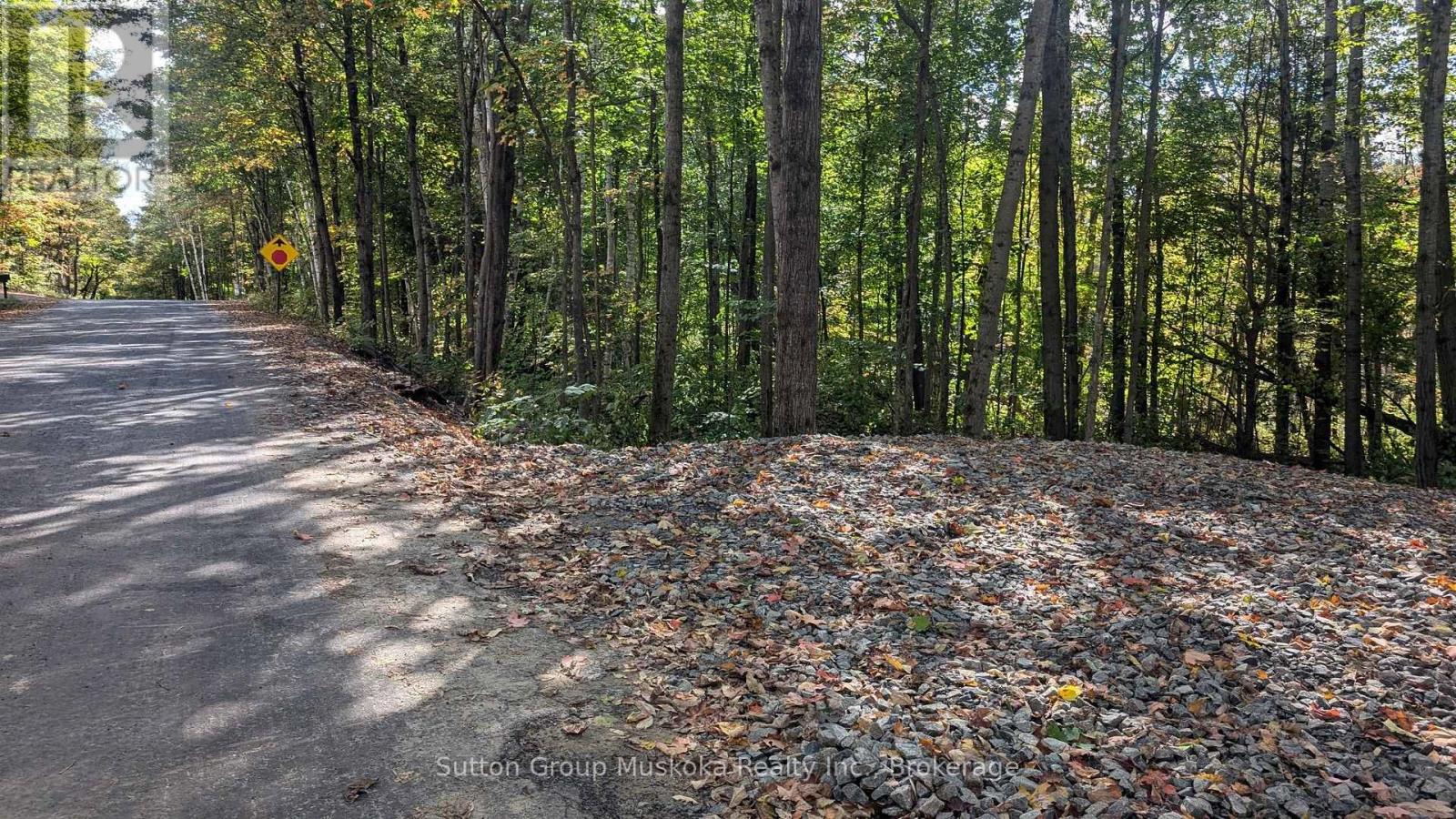 Lot 1 Tally-Ho Winter Park Road, Lake Of Bays, Ontario  P1H 2E8 - Photo 2 - X12001544
