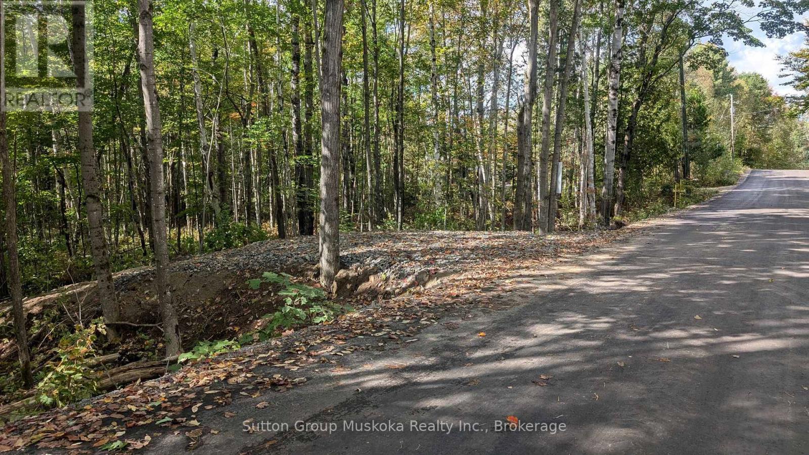 Lot 1 Tally-Ho Winter Park Road, Lake Of Bays, Ontario  P1H 2E8 - Photo 4 - X12001544