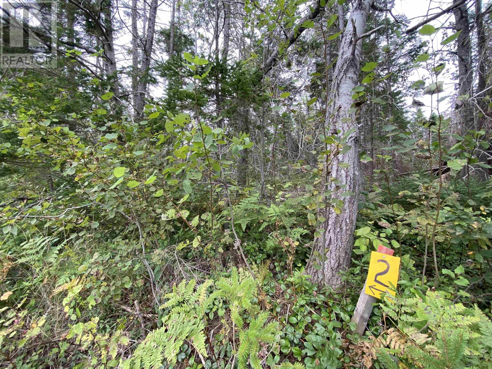 Property at Lot 2 Floating Bridge Road image 5