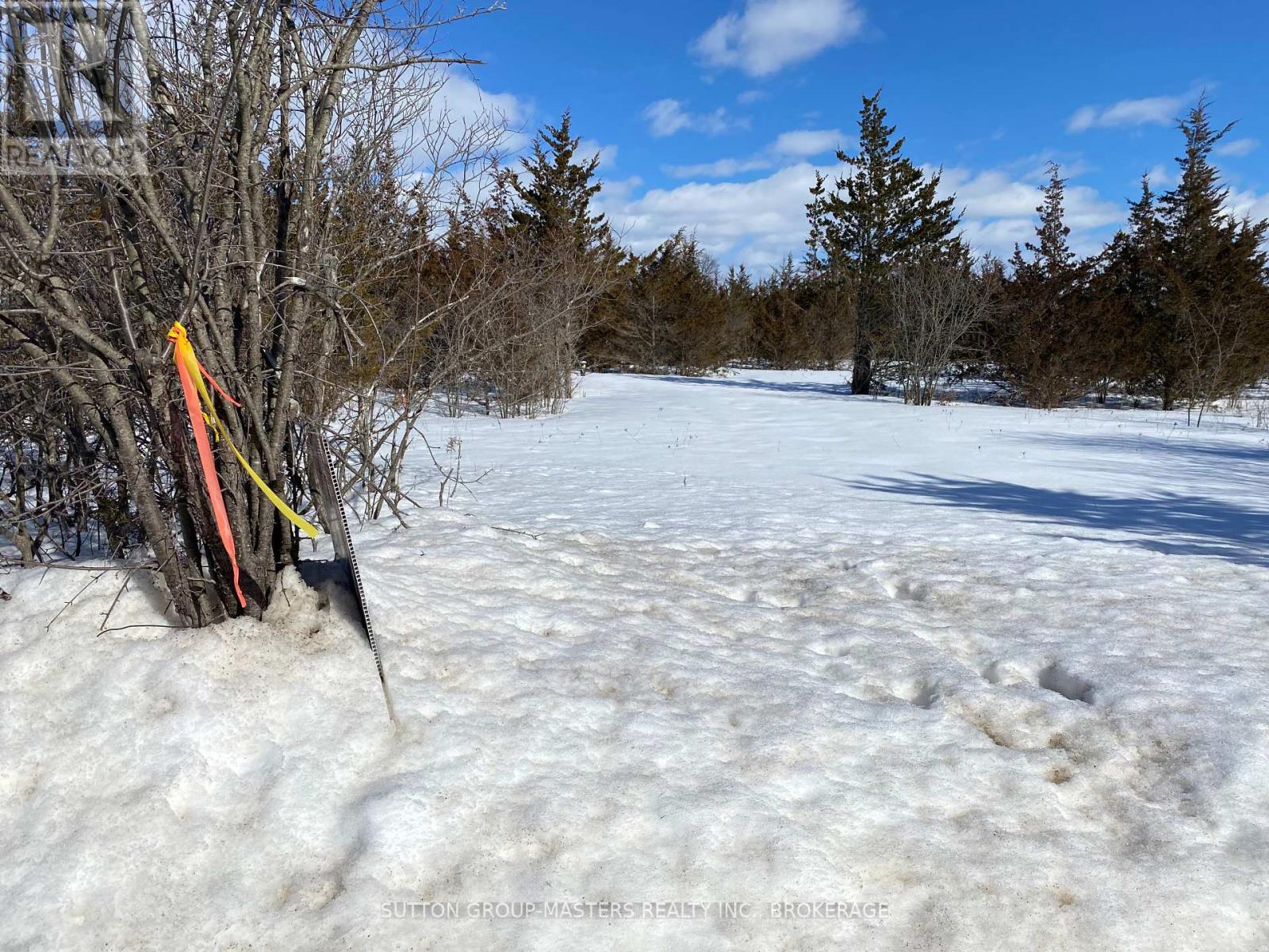 Lot B Galbraith Grove Road, Stone Mills, Ontario  K0K 3N0 - Photo 1 - X12001641