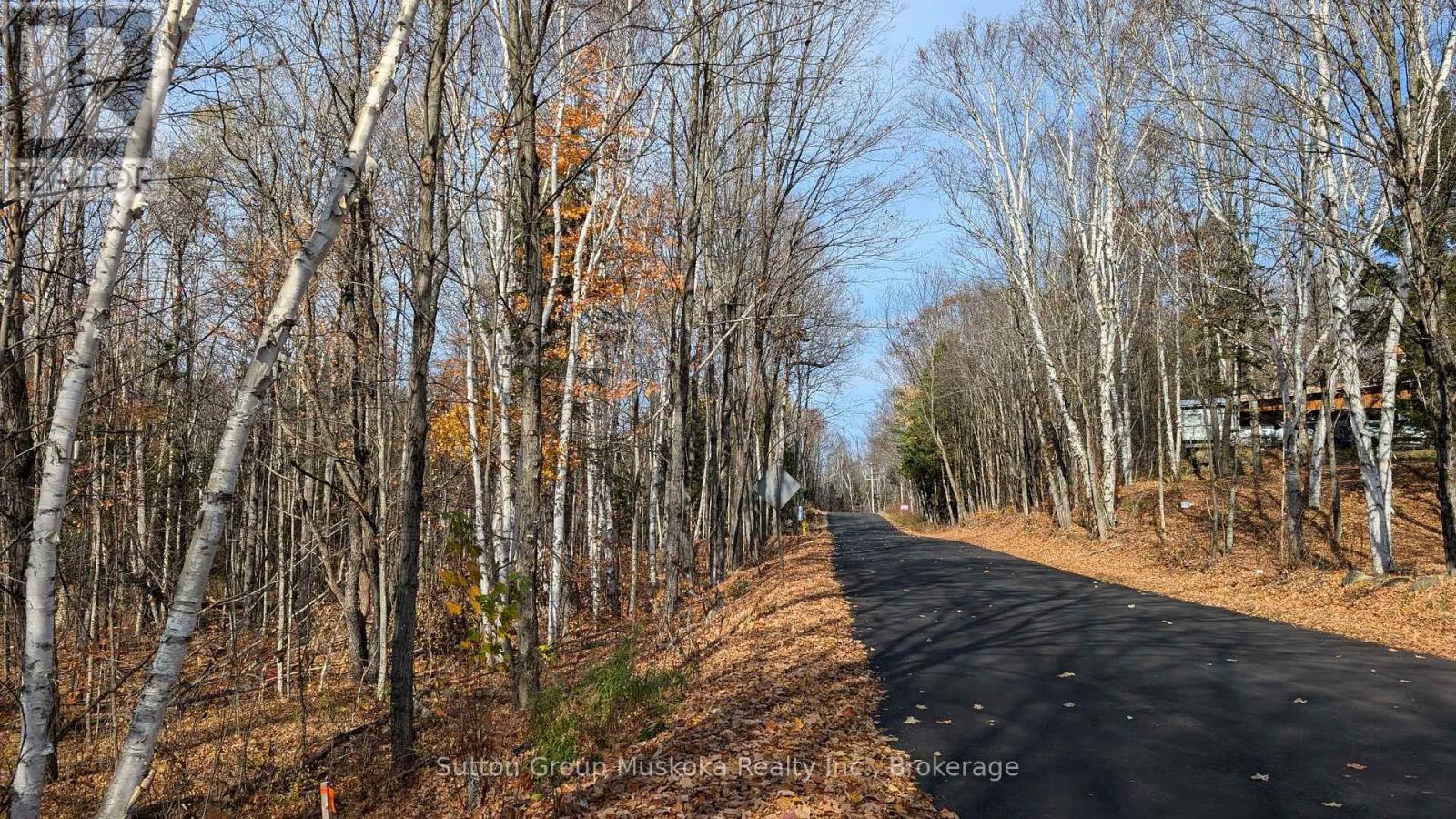 Lot 2 Tally-Ho Winter Park Road, Lake Of Bays, Ontario  P1H 2E5 - Photo 2 - X12001814