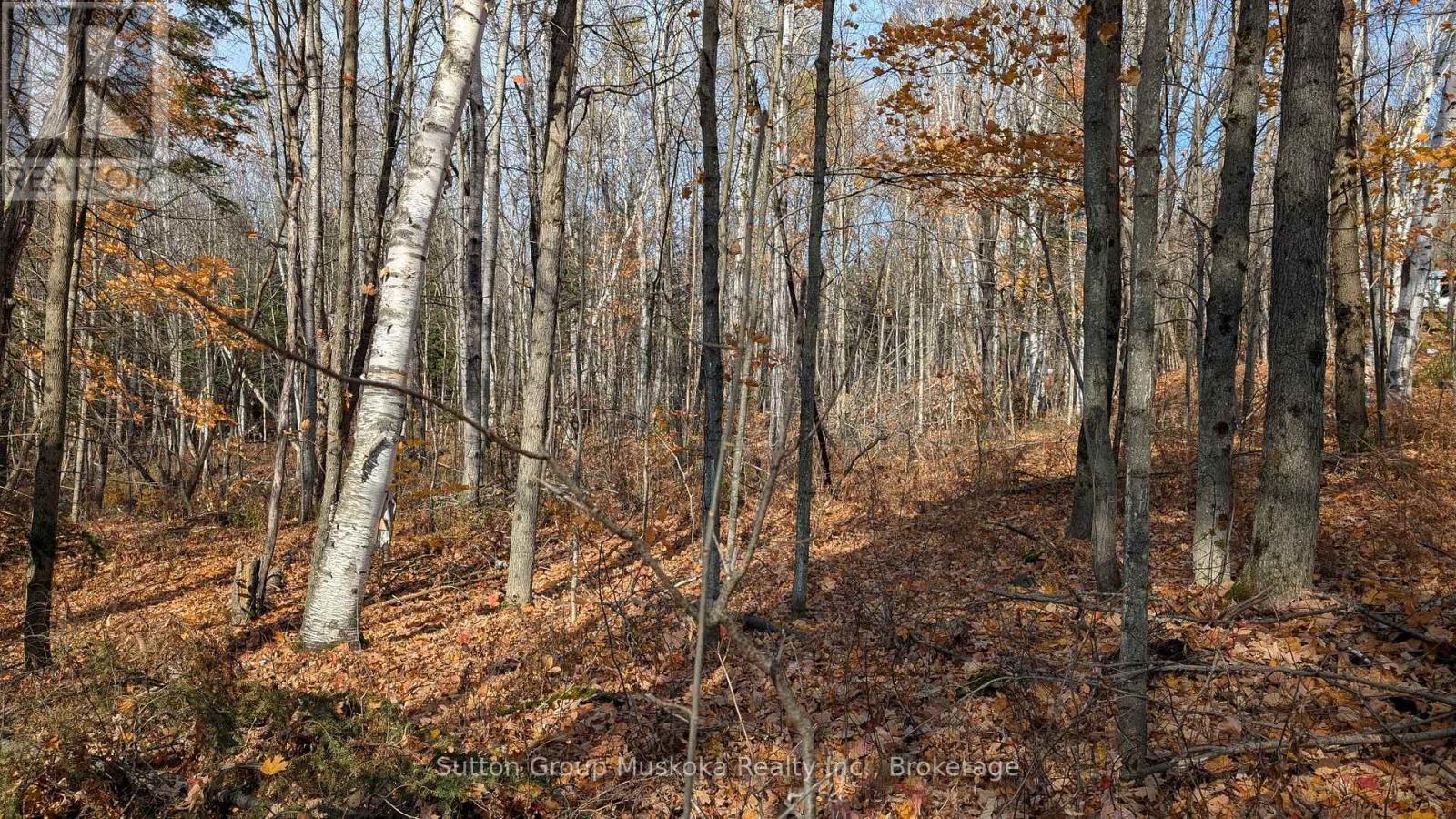 Lot 2 Tally-Ho Winter Park Road, Lake Of Bays, Ontario  P1H 2E5 - Photo 7 - X12001814