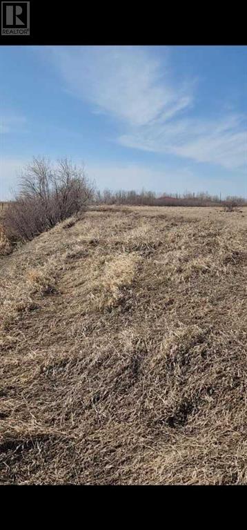 145048 192 Township N, Rural Newell, Alberta  T0J 0Z0 - Photo 4 - A2180649
