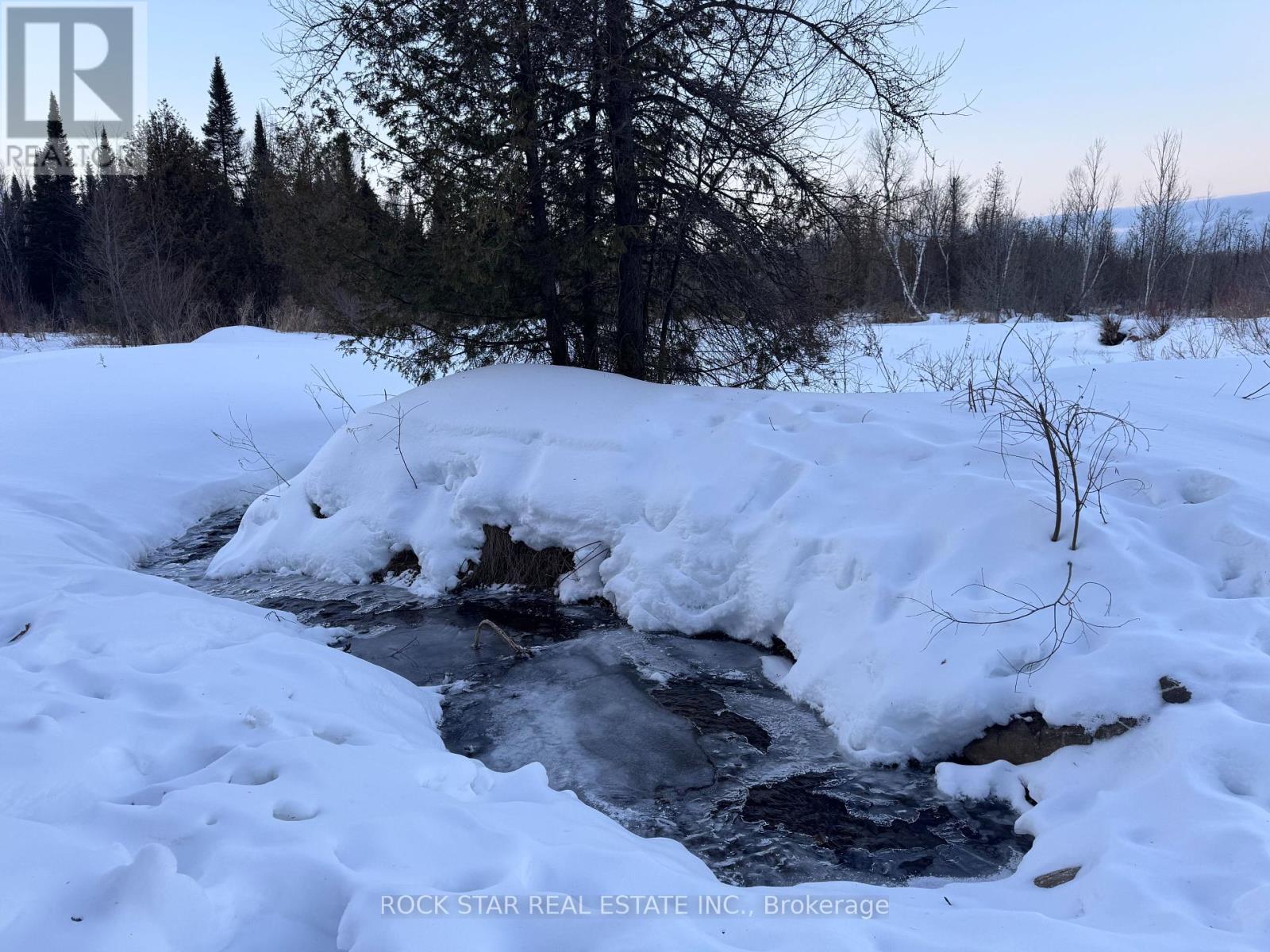 476499 3rd Line, Melancthon, Ontario  L0N 1S0 - Photo 41 - X12002034