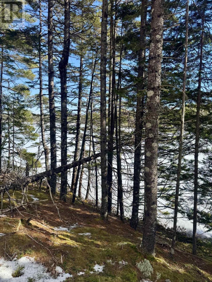 Lot 13 Island View Drive, Middlewood, Nova Scotia  B4V 6J2 - Photo 4 - 202504174