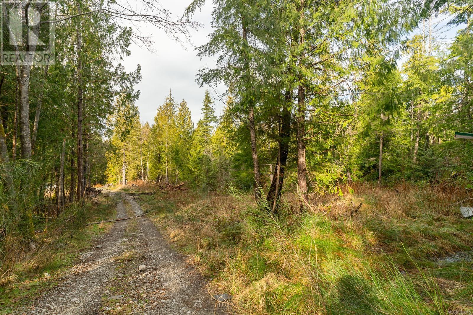 Lot 5 Bamfield Rd S, Bamfield, British Columbia  V0R 1B0 - Photo 18 - 989845