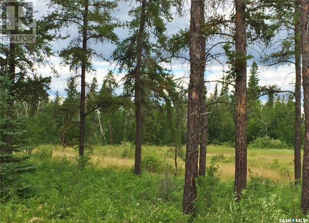 Reclot 3 Blk 2, Hudson Bay Rm No. 394, Saskatchewan  S0E 0Y0 - Photo 2 - SK997145