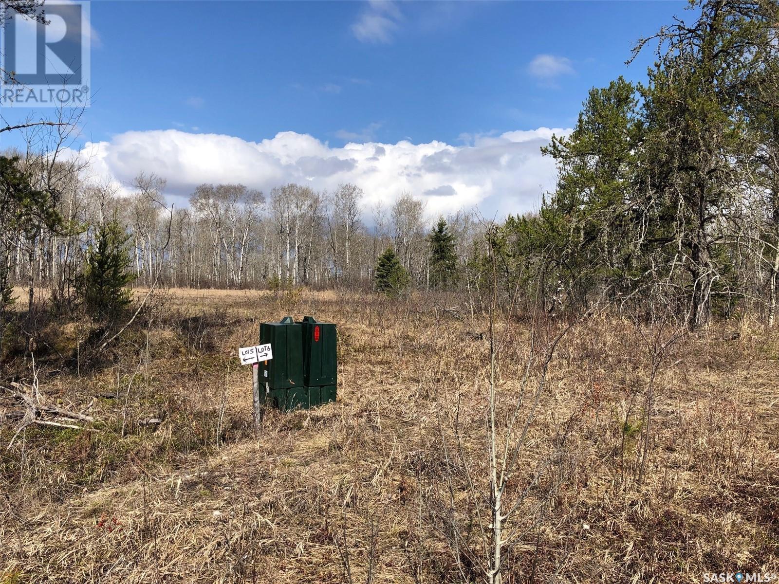 Reclot 12 blk 2, Hudson Bay Rm No. 394, Saskatchewan