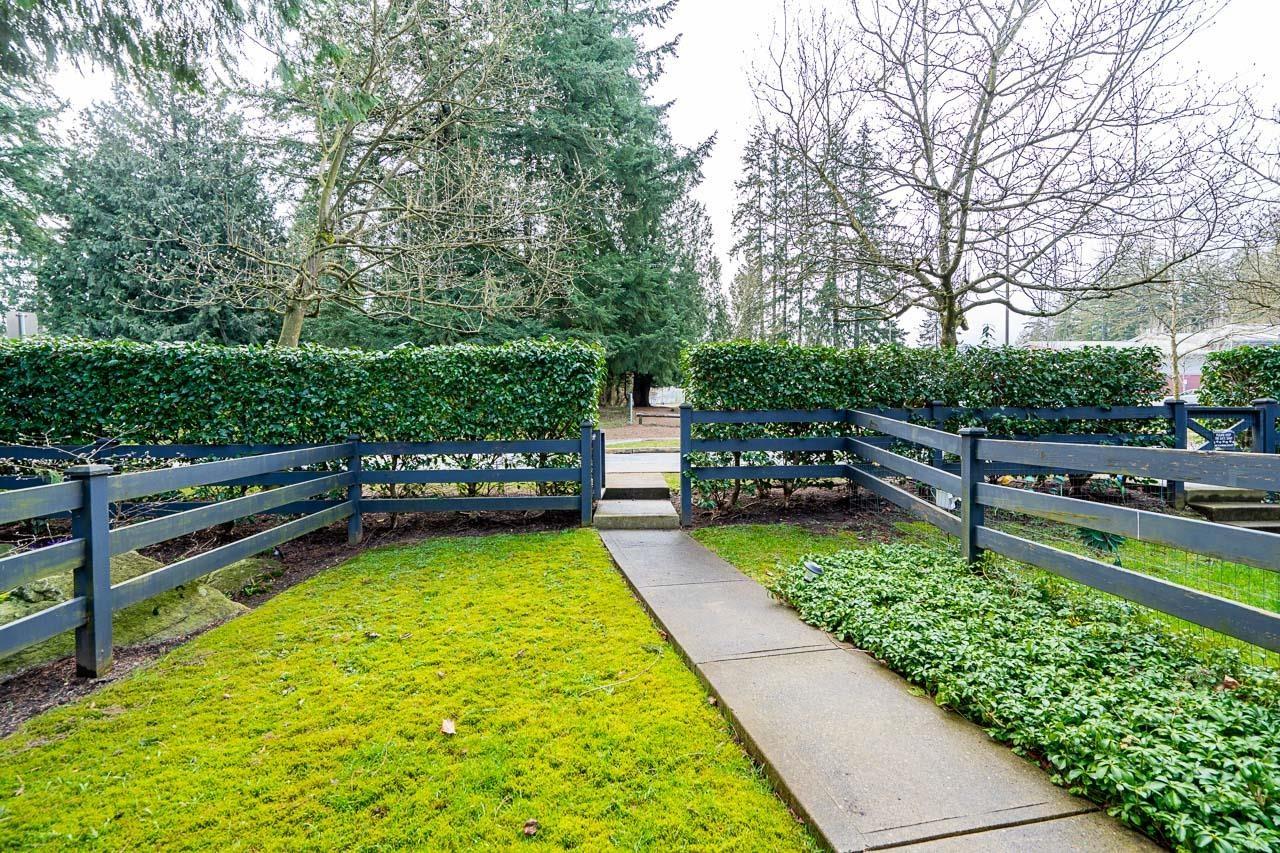 Property at 84 15075 60 AVENUE image 3