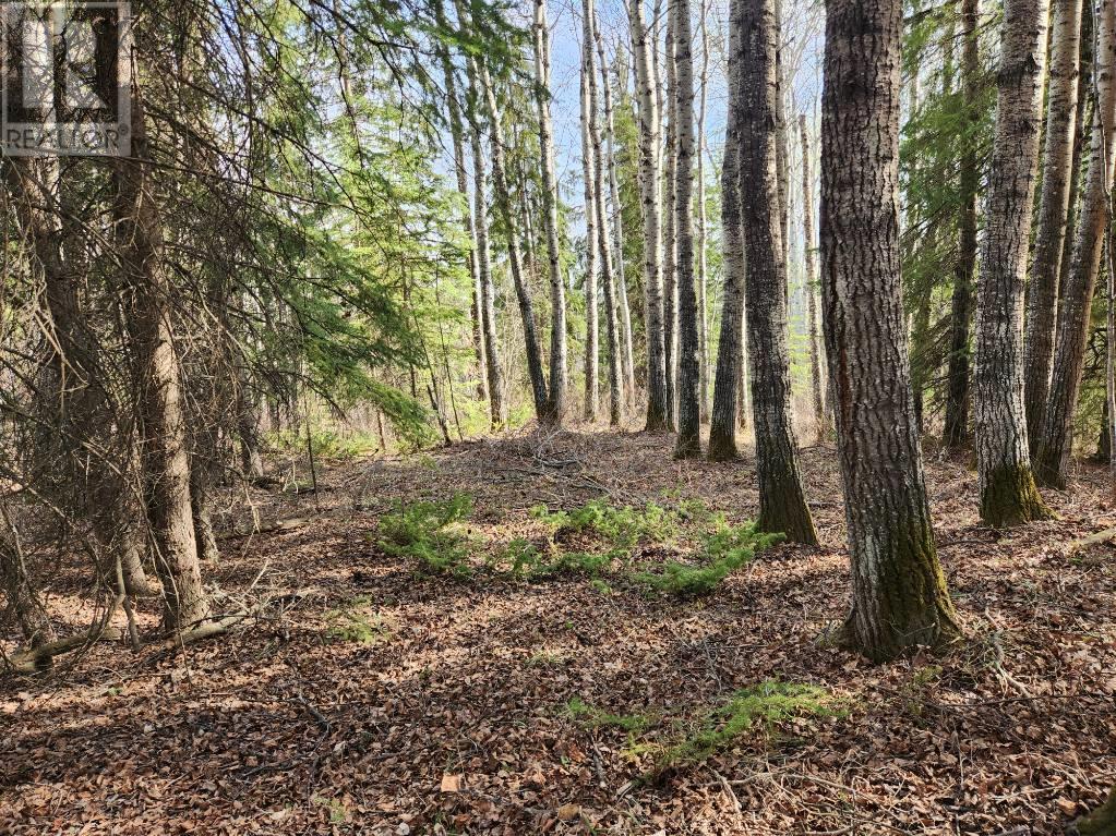 Lot 23, Rural Grande Prairie No. 1, Alberta  T8W 5K2 - Photo 5 - A2117451