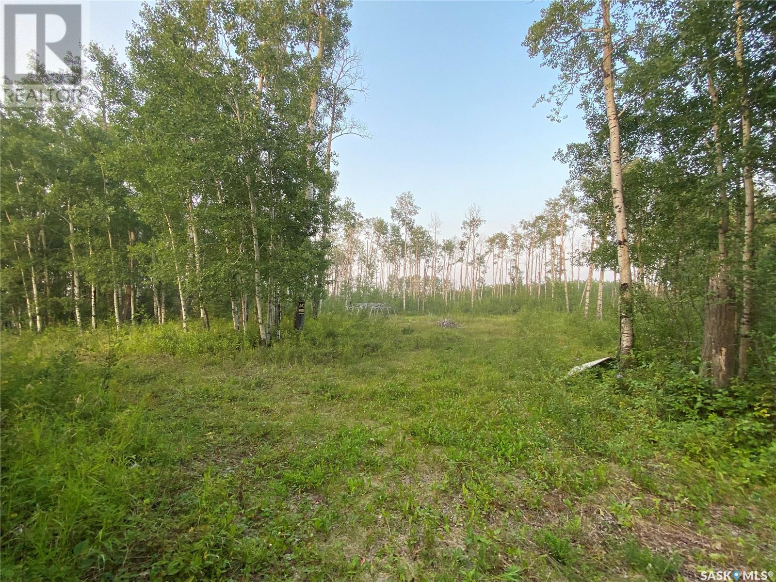 Loiselle Campground, Beaver River Rm No. 622, Saskatchewan  S0M 1A0 - Photo 8 - SK982122