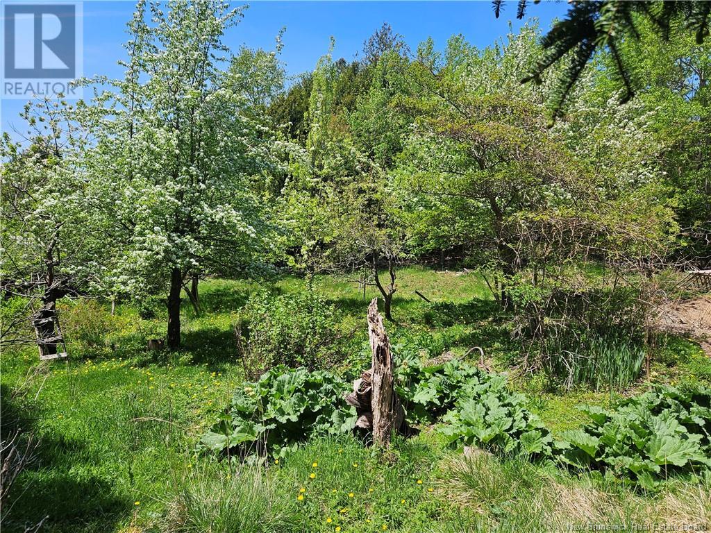 1870 Sandy Point Road, Saint John, New Brunswick  E2K 5E9 - Photo 12 - NB113292