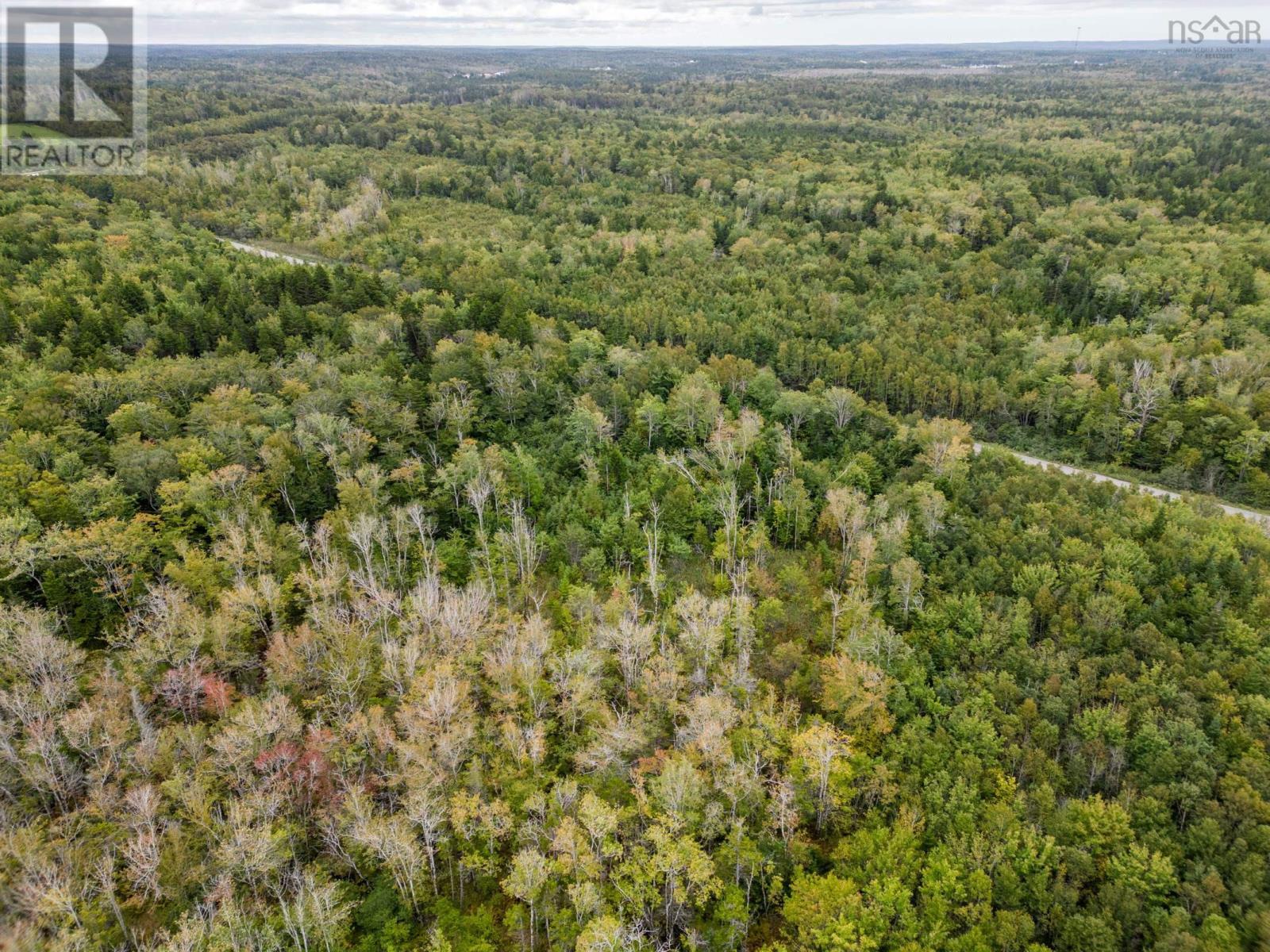 P F Comeau Road, Comeauville, Nova Scotia  B0W 1M0 - Photo 10 - 202503898