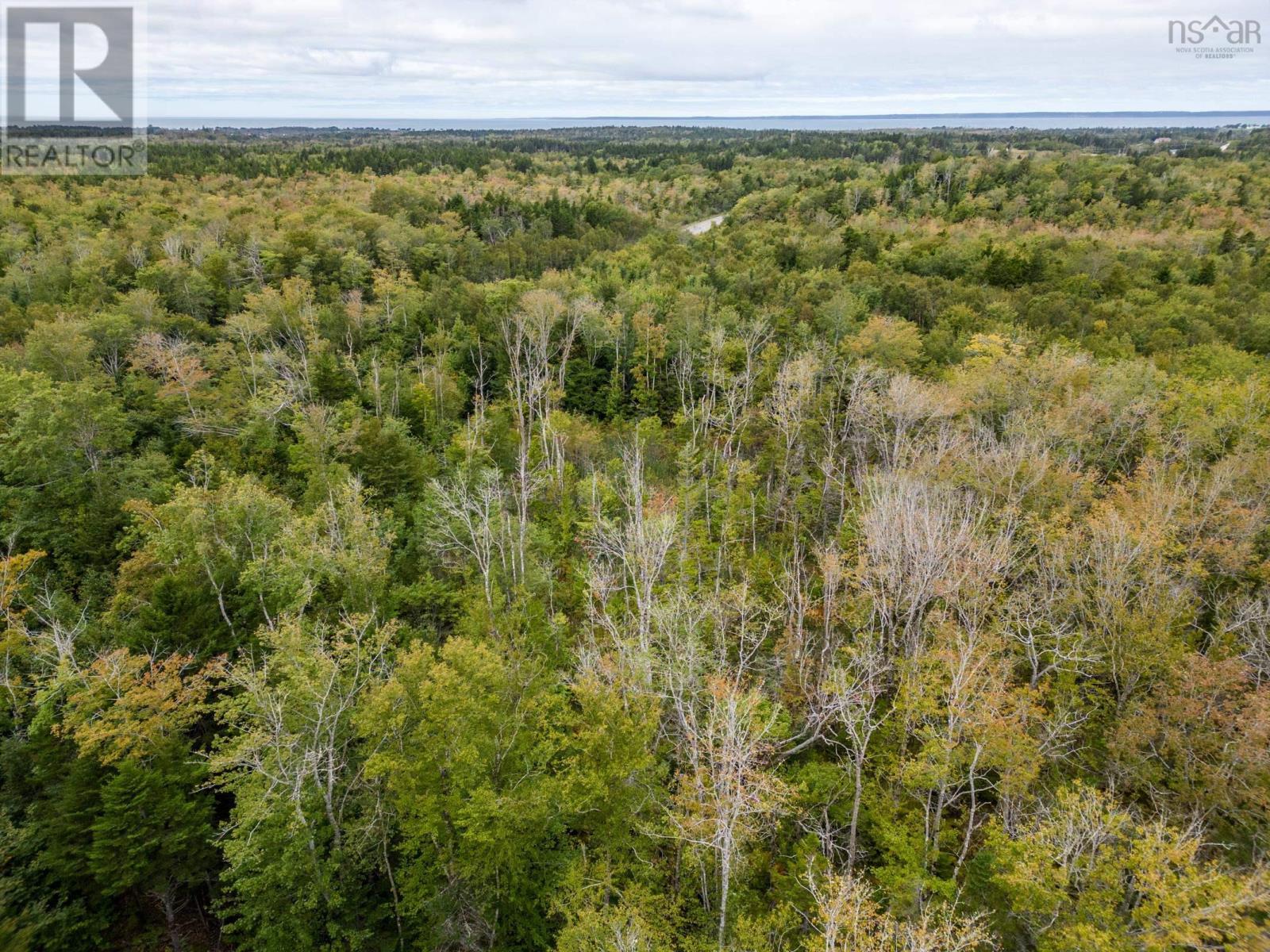 P F Comeau Road, Comeauville, Nova Scotia  B0W 1M0 - Photo 12 - 202503898