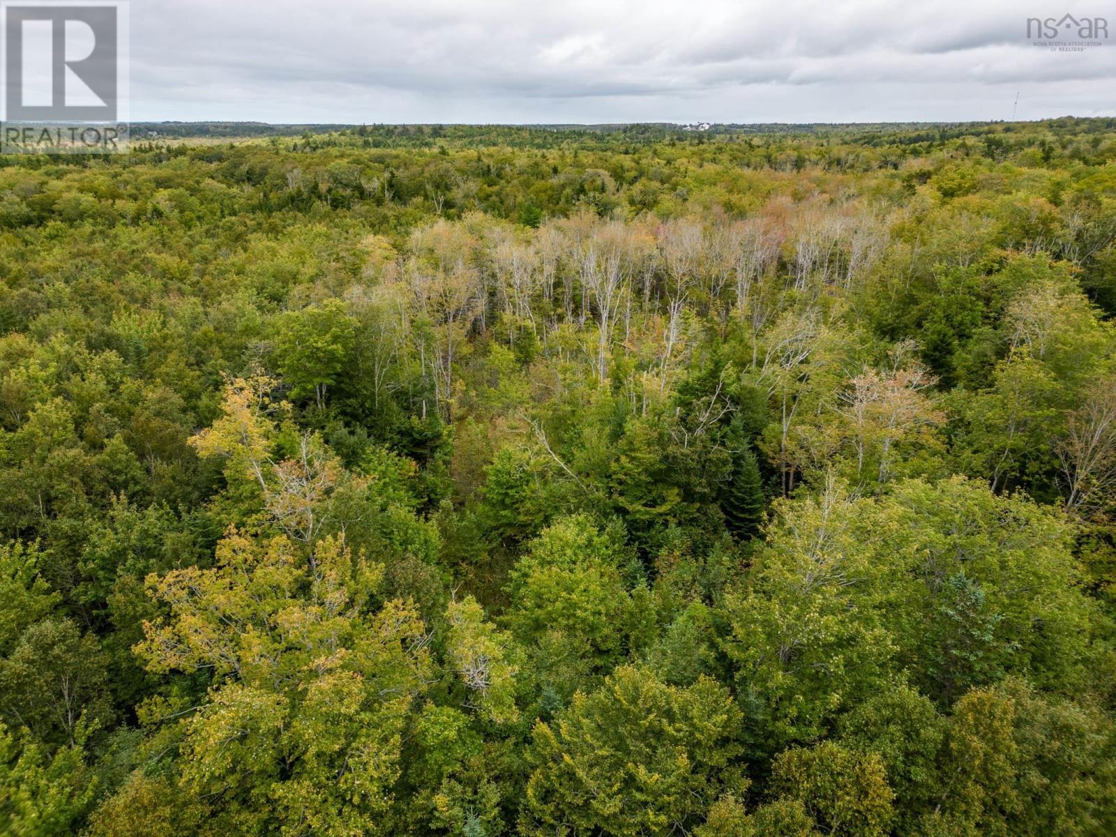 P F Comeau Road, Comeauville, Nova Scotia  B0W 1M0 - Photo 13 - 202503898
