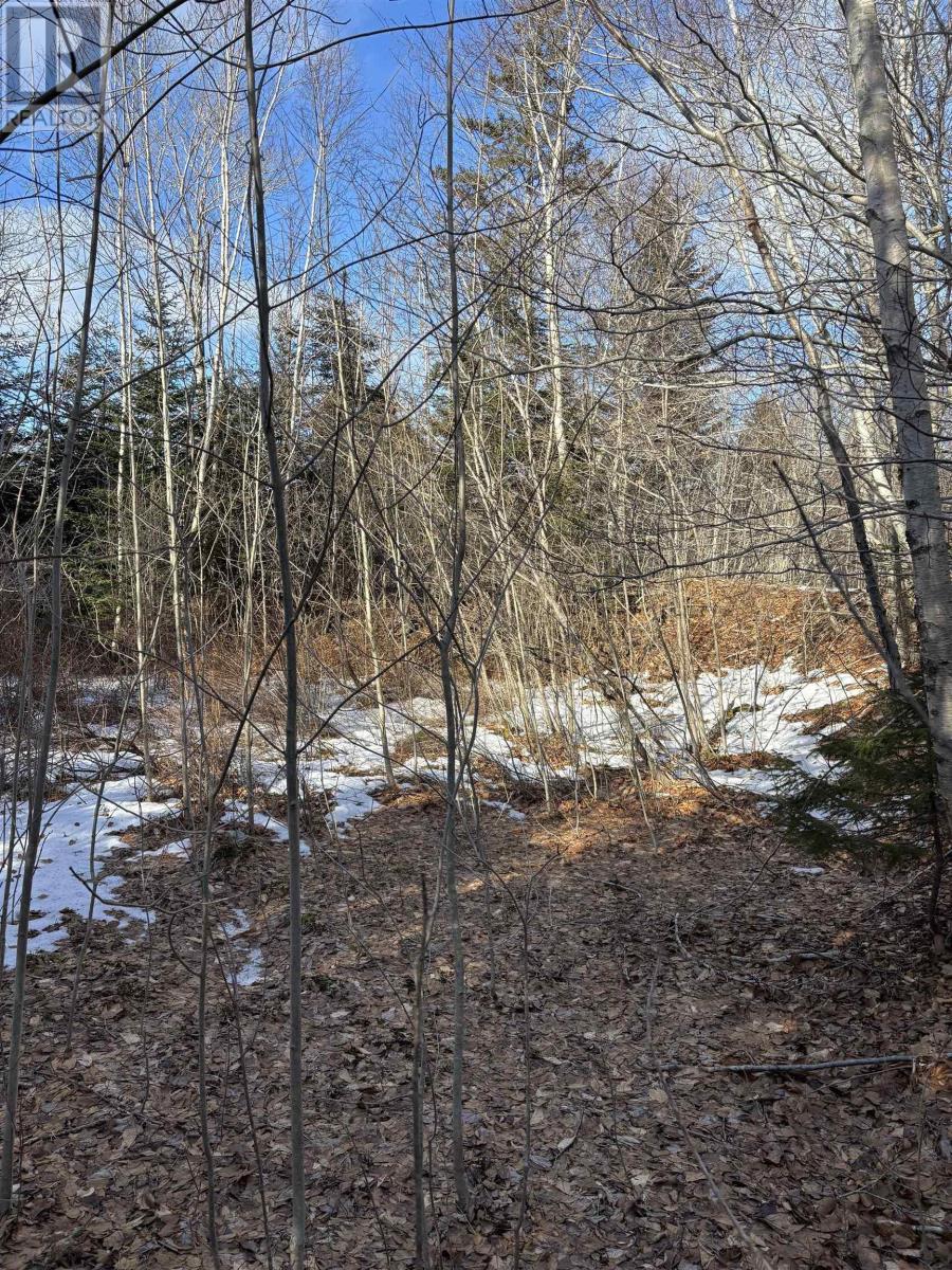 P F Comeau Road, Comeauville, Nova Scotia  B0W 1M0 - Photo 15 - 202503898