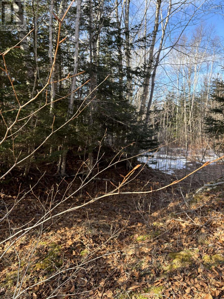 P F Comeau Road, Comeauville, Nova Scotia  B0W 1M0 - Photo 16 - 202503898