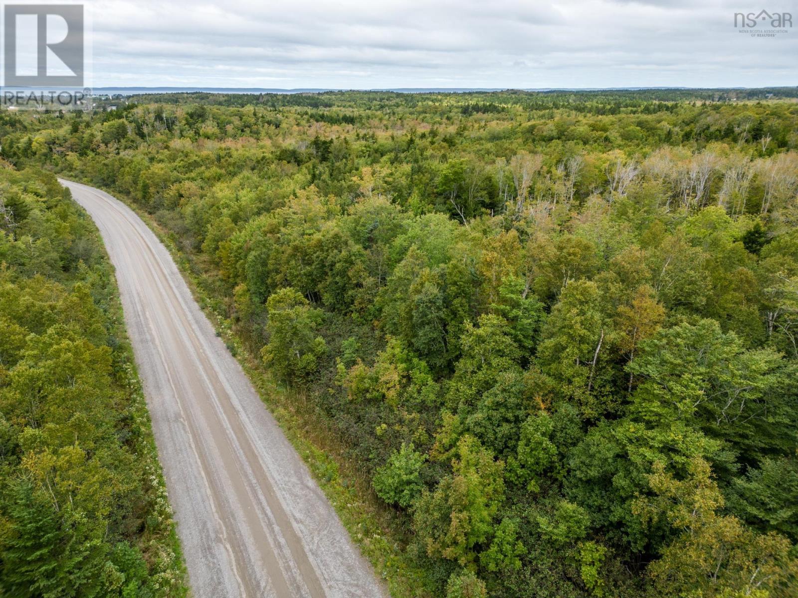P F Comeau Road, Comeauville, Nova Scotia  B0W 1M0 - Photo 6 - 202503898