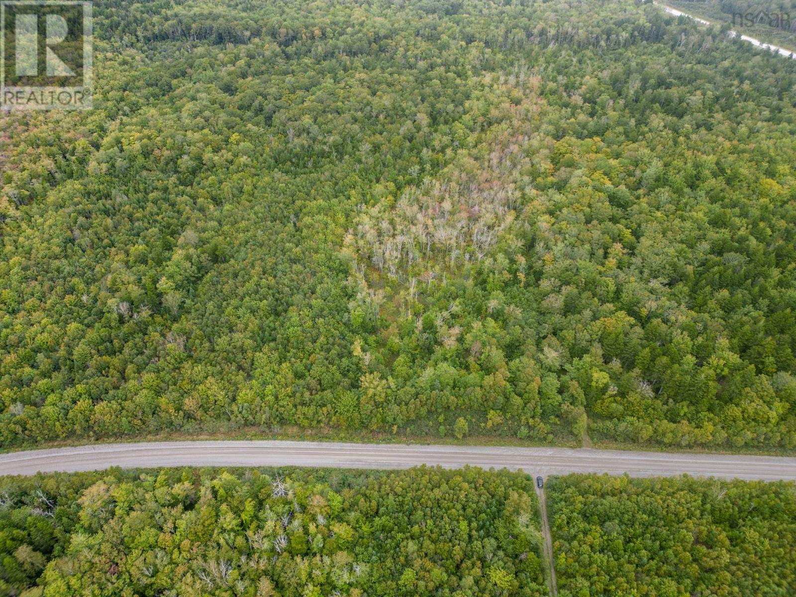 P F Comeau Road, Comeauville, Nova Scotia  B0W 1M0 - Photo 7 - 202503898