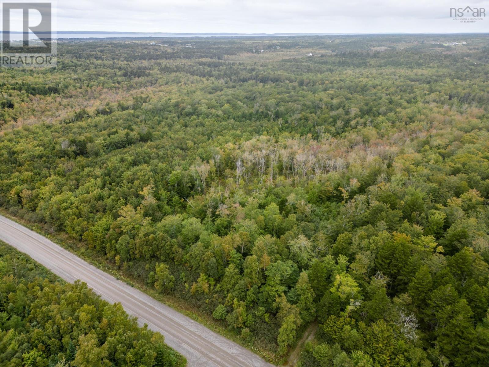 P F Comeau Road, Comeauville, Nova Scotia  B0W 1M0 - Photo 8 - 202503898