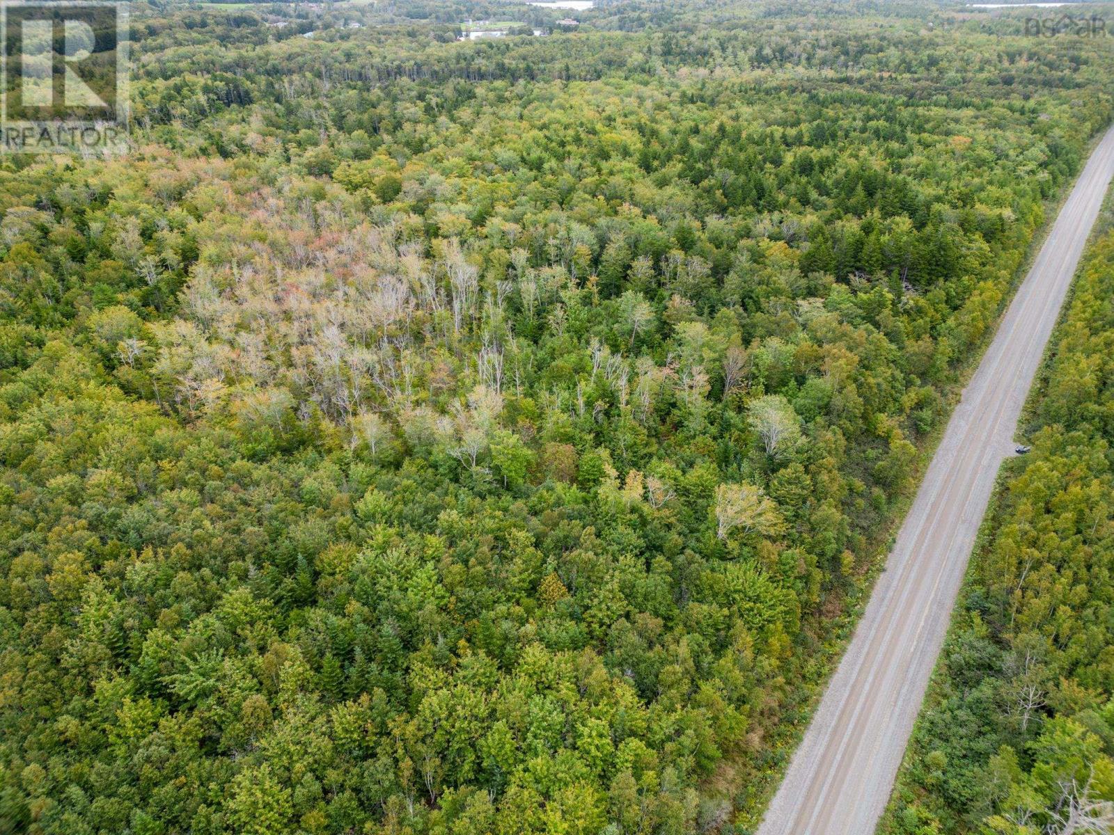 P F Comeau Road, Comeauville, Nova Scotia  B0W 1M0 - Photo 9 - 202503898