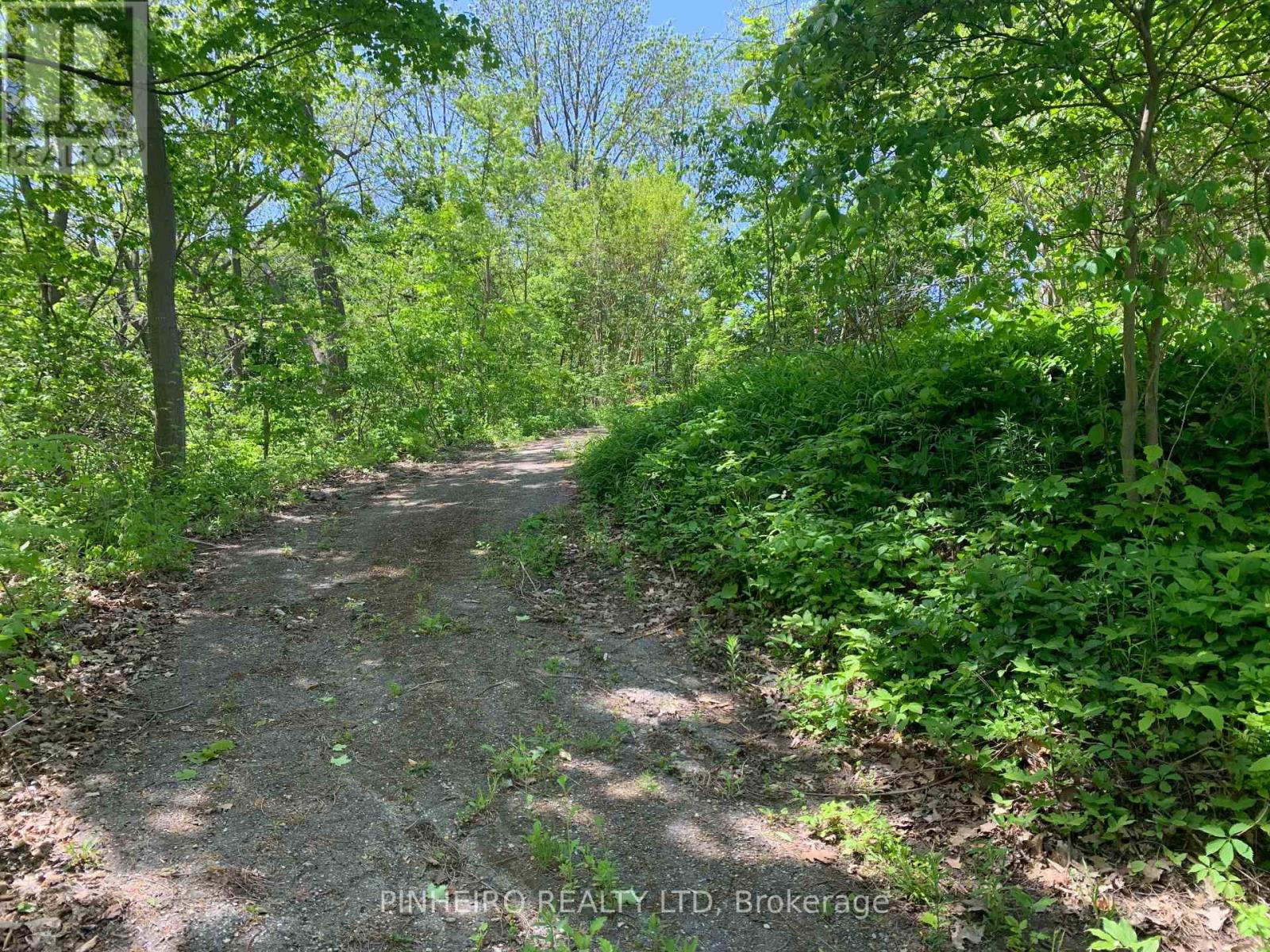 35 Pond Mills Road, London, Ontario  N5Z 0A1 - Photo 2 - X12002336