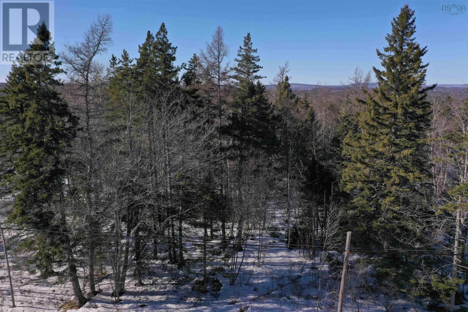 Lot 2 Highway 4, Mcintyre Lake, Cleveland, Nova Scotia  B0E 1J0 - Photo 2 - 202504185