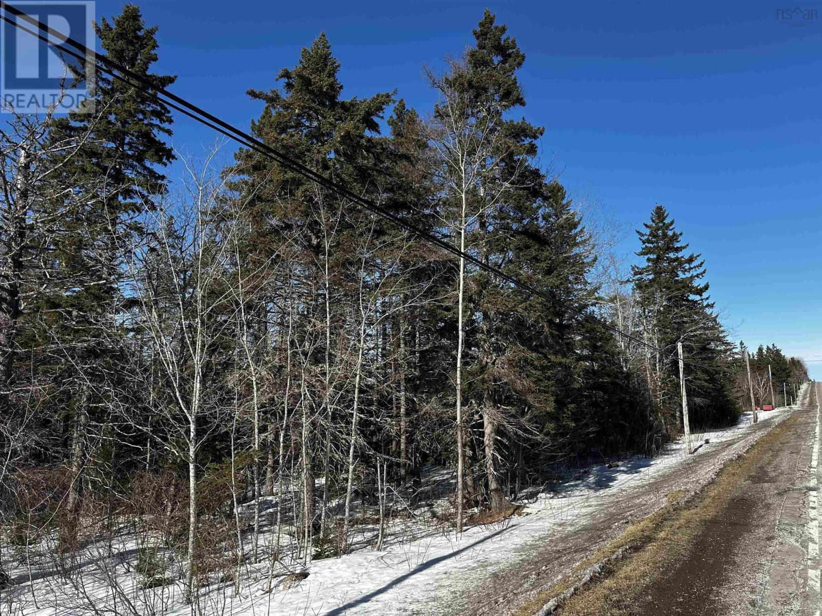 Lot 2 Highway 4, Mcintyre Lake, Cleveland, Nova Scotia  B0E 1J0 - Photo 3 - 202504185