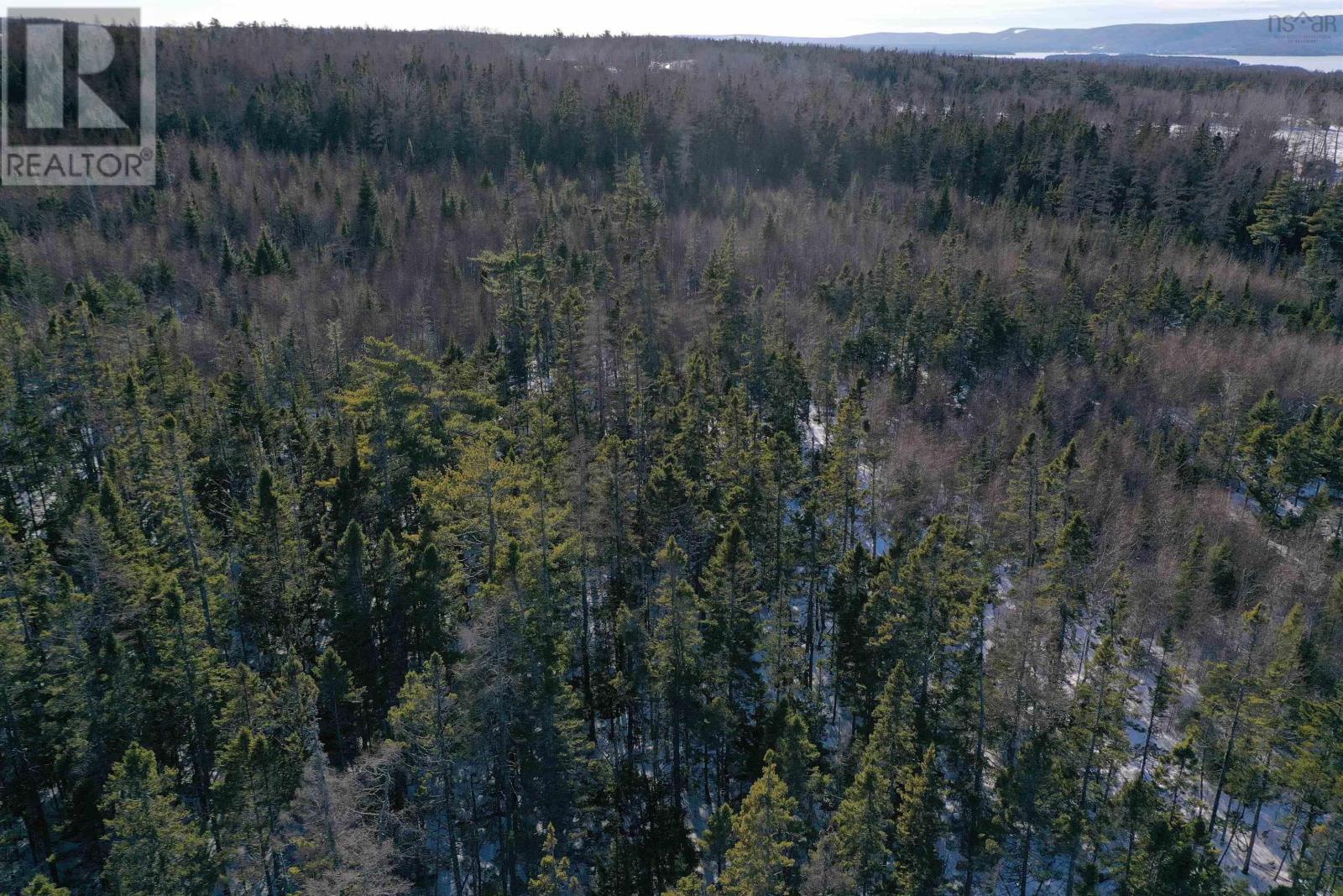 Lot 4 Emerald Drive, Emerald Estates, Whycocomagh Portage, Nova Scotia  B0E 3M0 - Photo 12 - 202504186