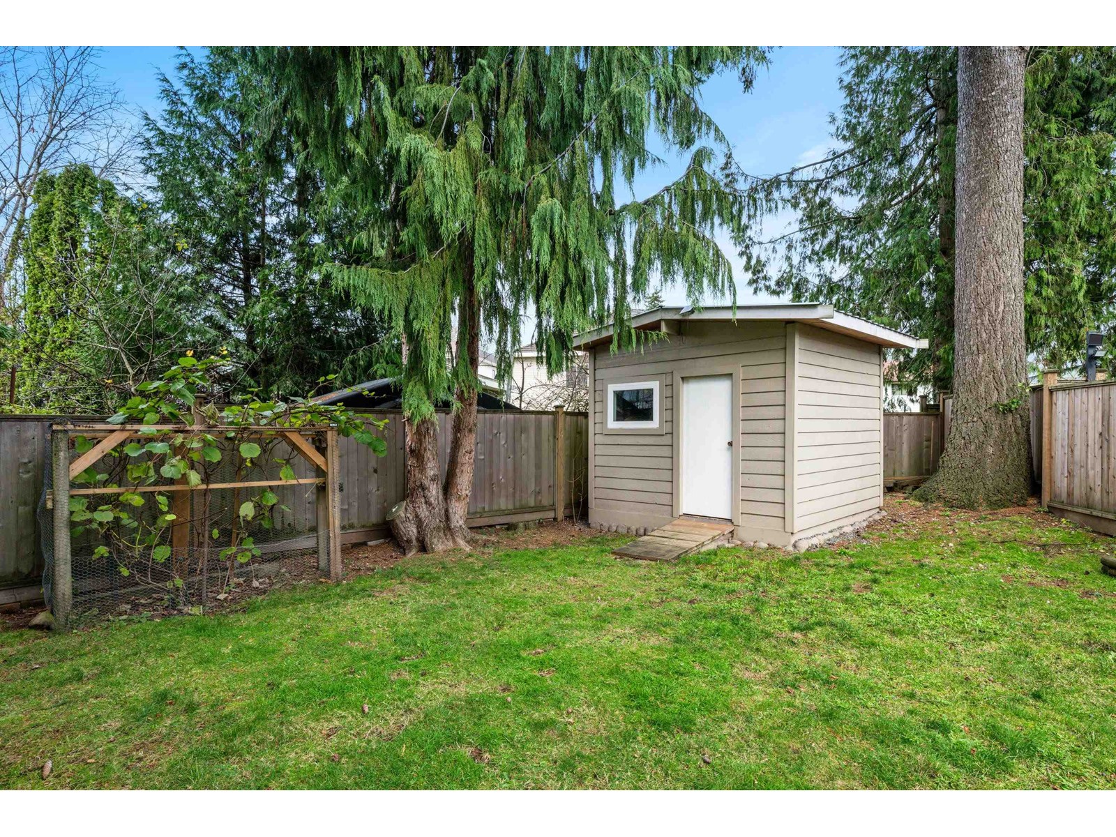 9222 132a Street, Surrey, British Columbia  V3V 7E1 - Photo 36 - R2973705