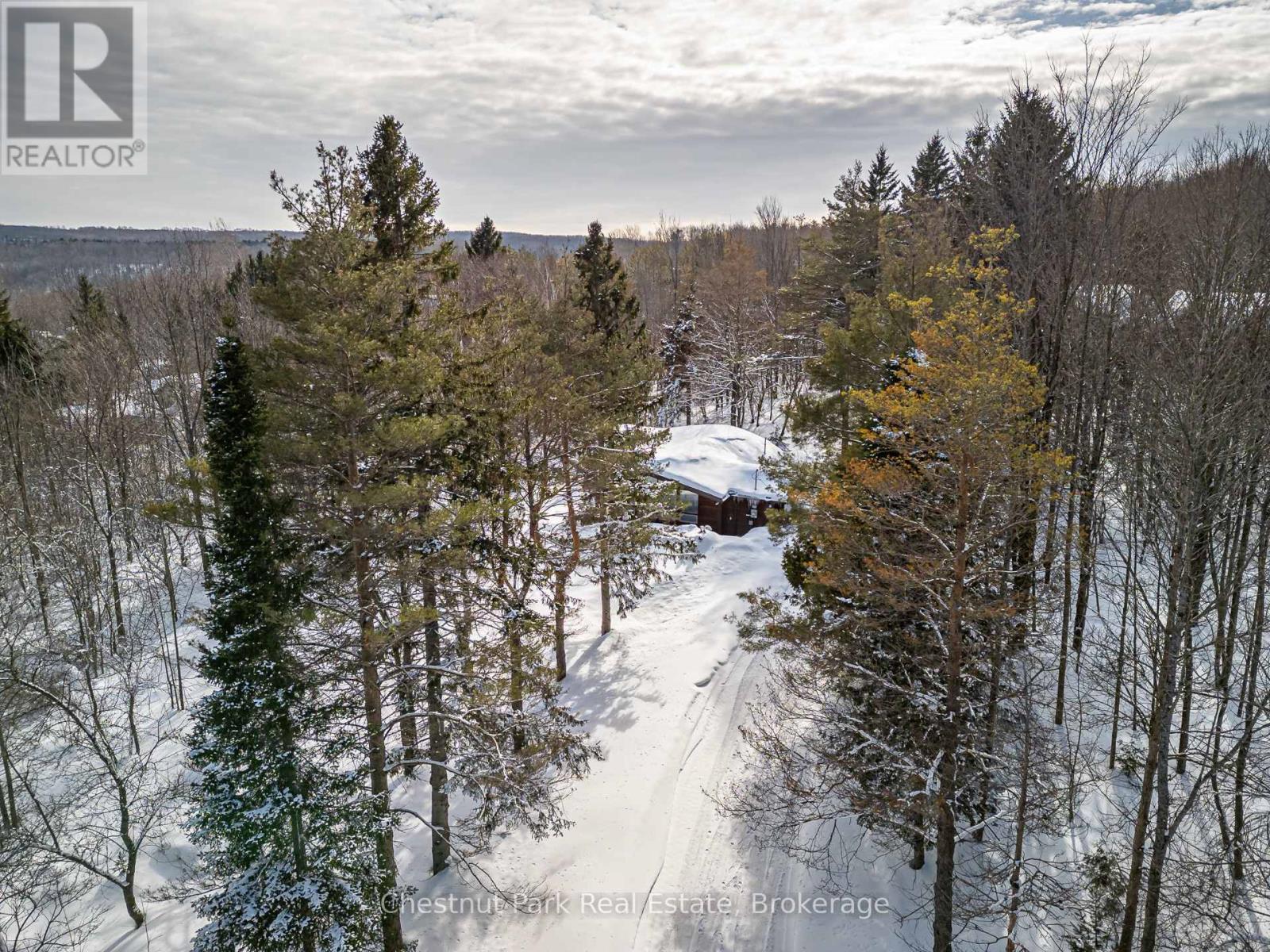 116 Castleview Road, Blue Mountains, Ontario  L9Y 0R6 - Photo 2 - X12002652