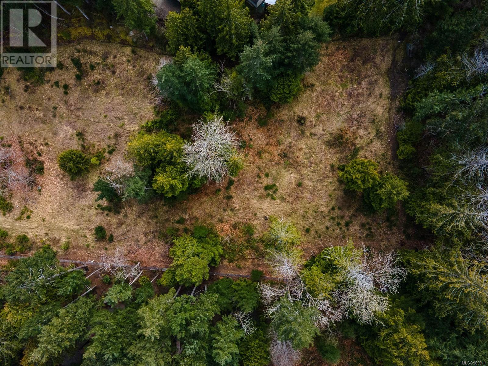 Lot 2 6316 Genoa Bay Rd, Duncan, British Columbia  V9L 5Y4 - Photo 10 - 989911
