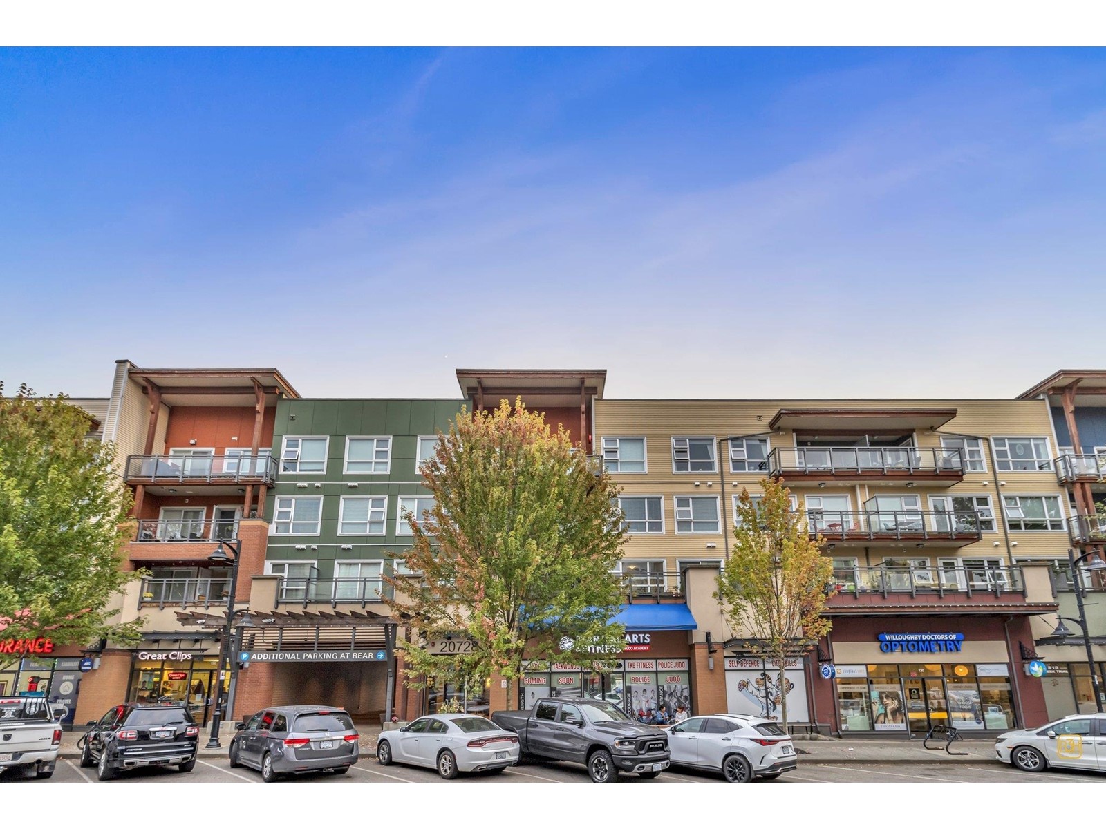 Property at 419 20728 WILLOUGHBY TOWN CENTRE DRIVE image 1