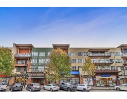 419 20728 WILLOUGHBY TOWN CENTRE DRIVE, Langley, British Columbia