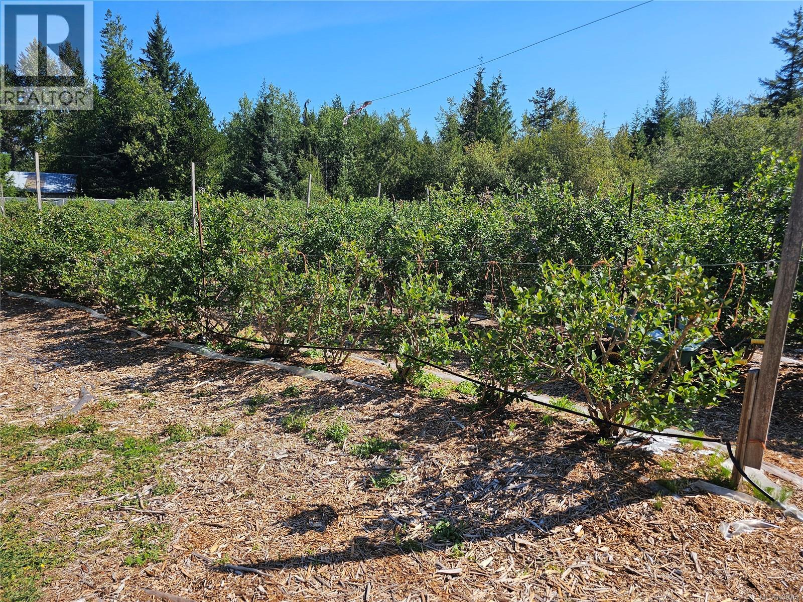 2156 Coleman Rd, Courtenay, British Columbia  V9J 1P2 - Photo 5 - 989962