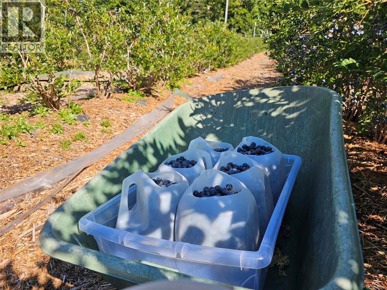 2156 Coleman Rd, Courtenay, British Columbia  V9J 1P2 - Photo 6 - 989962