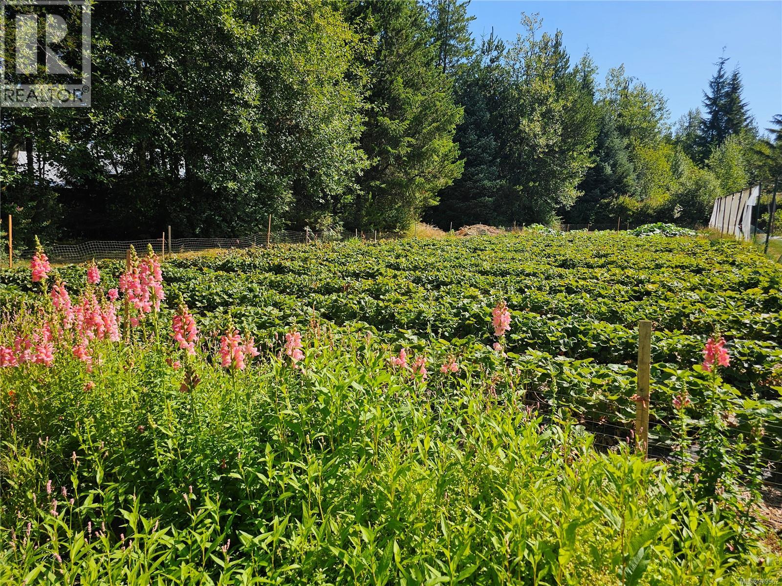 2156 Coleman Rd, Courtenay, British Columbia  V9J 1P2 - Photo 2 - 989962