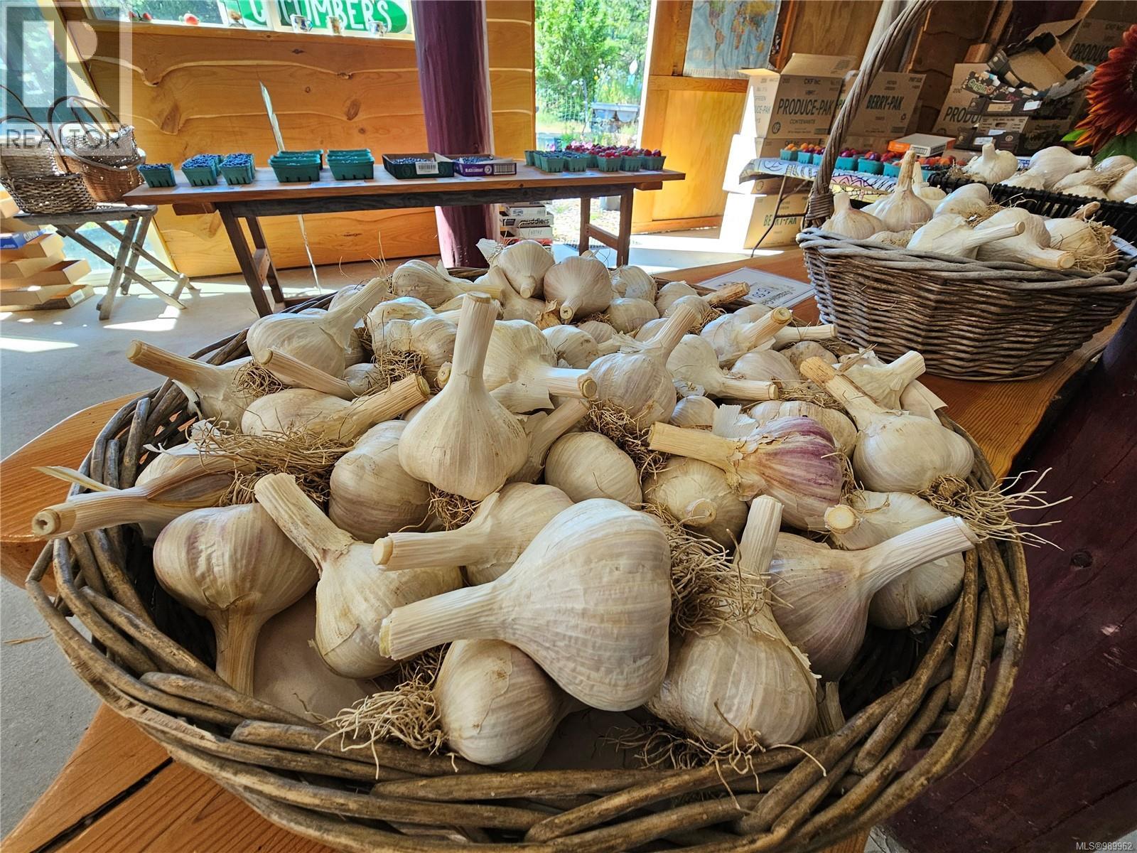 2156 Coleman Rd, Courtenay, British Columbia  V9J 1P2 - Photo 35 - 989962