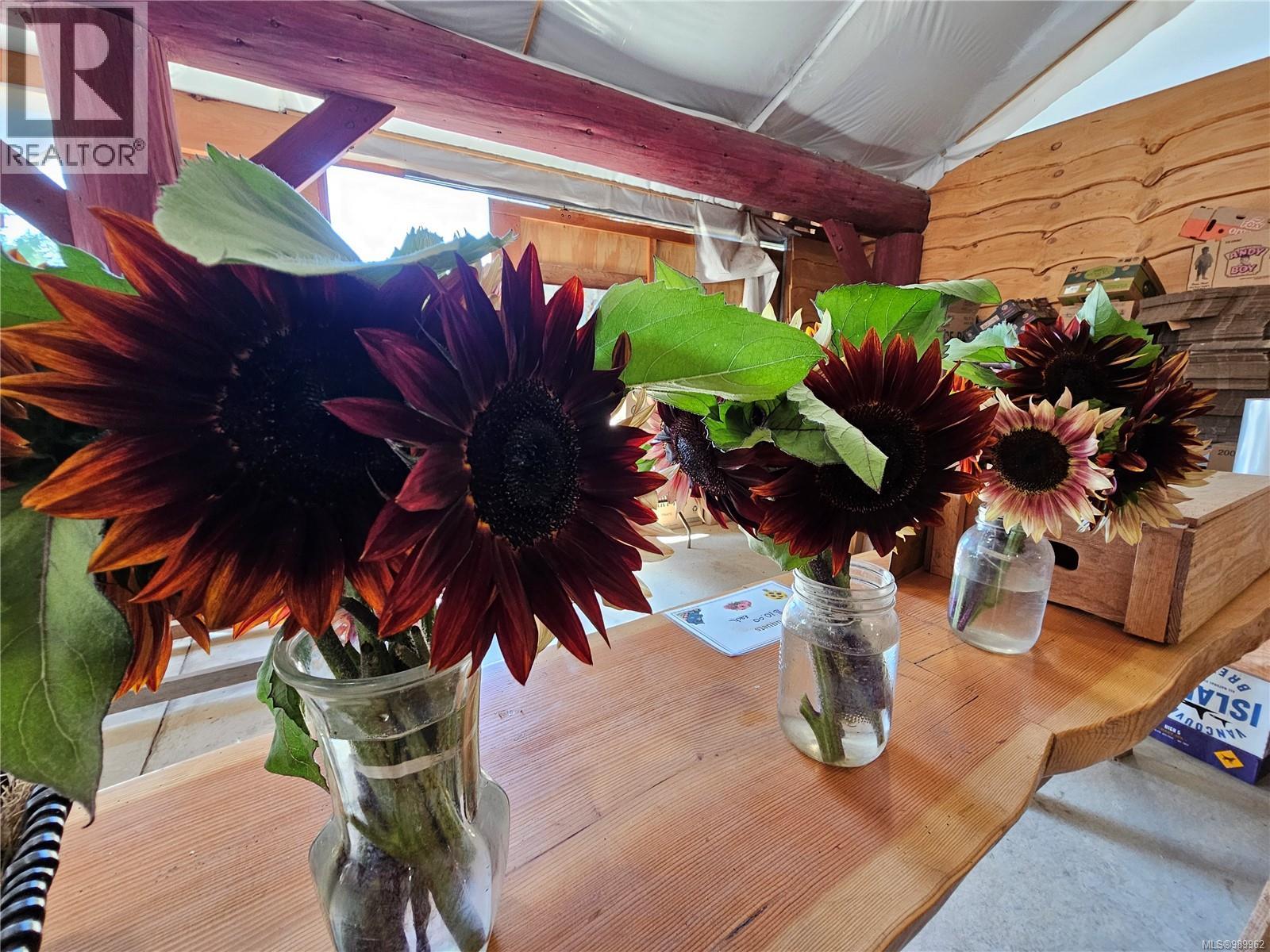 2156 Coleman Rd, Courtenay, British Columbia  V9J 1P2 - Photo 34 - 989962